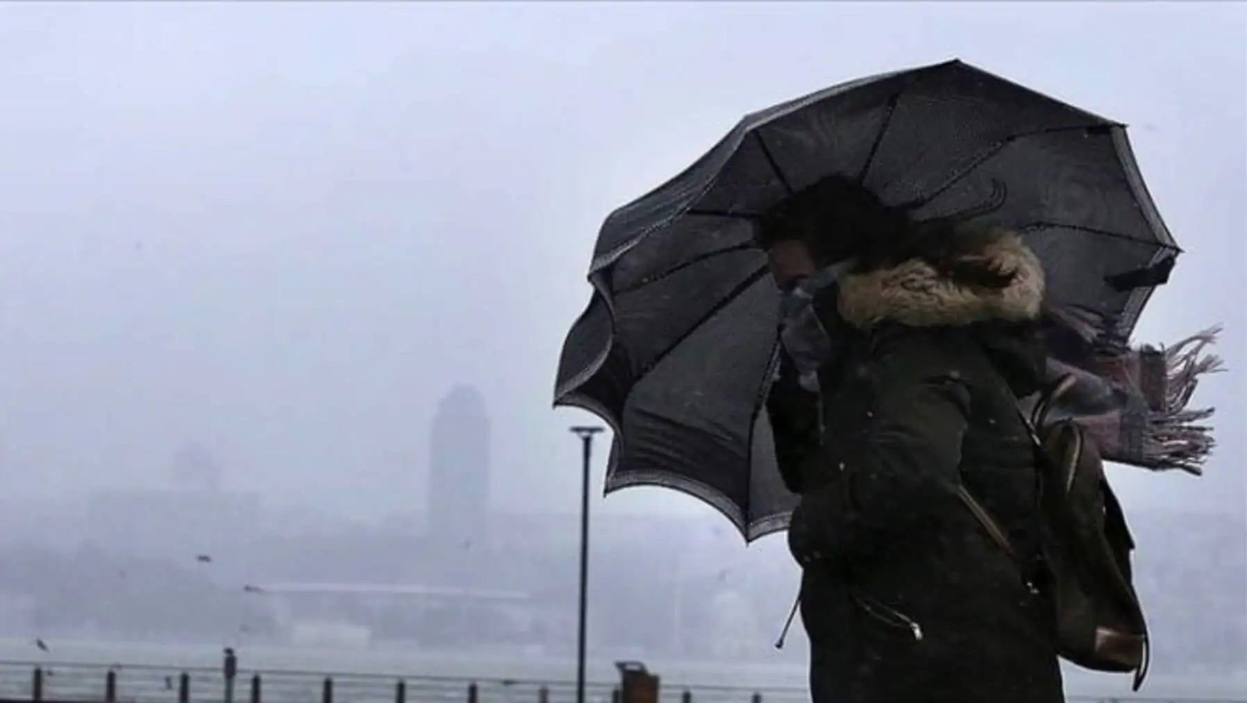 A person walking with an umbrella.