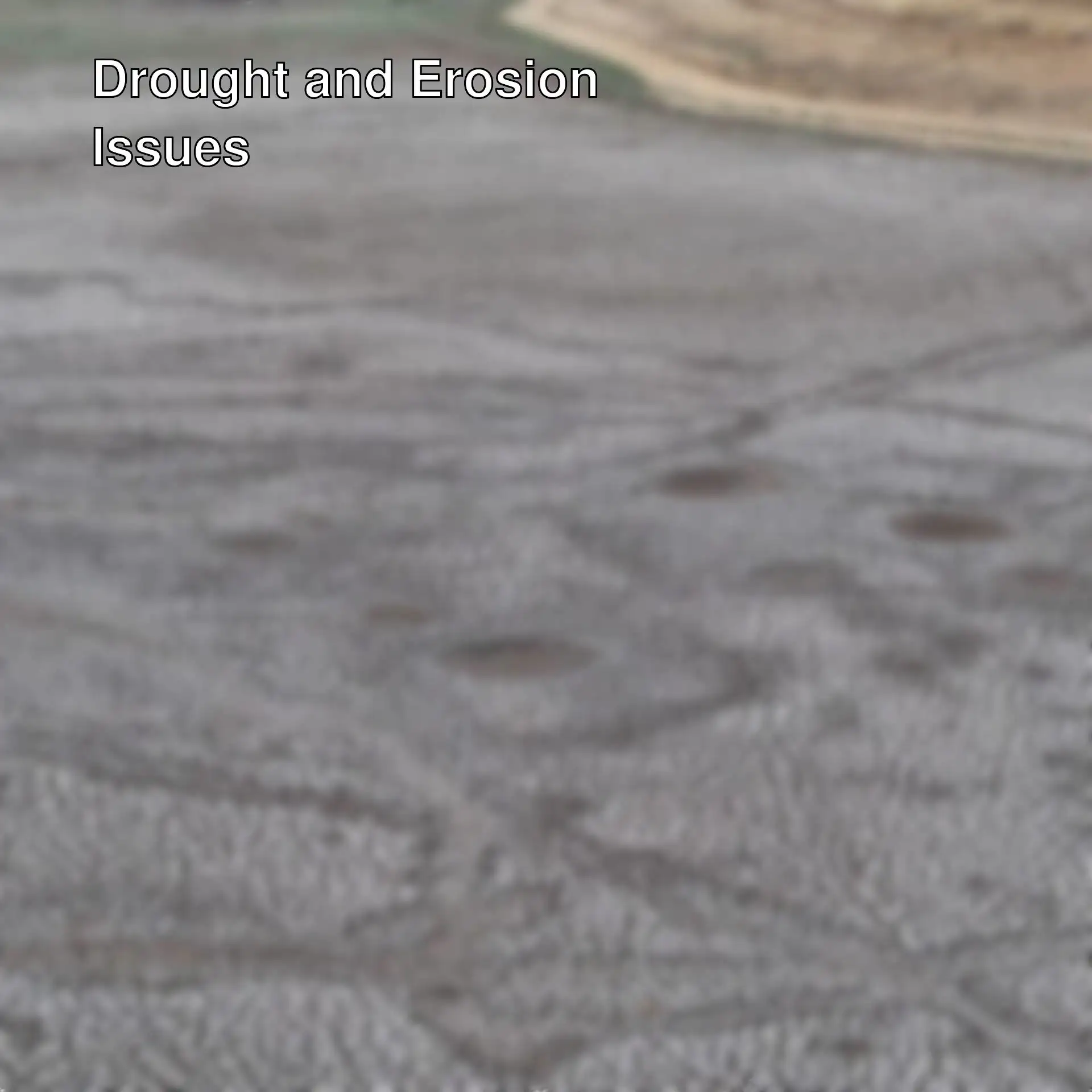 Cracked dry land