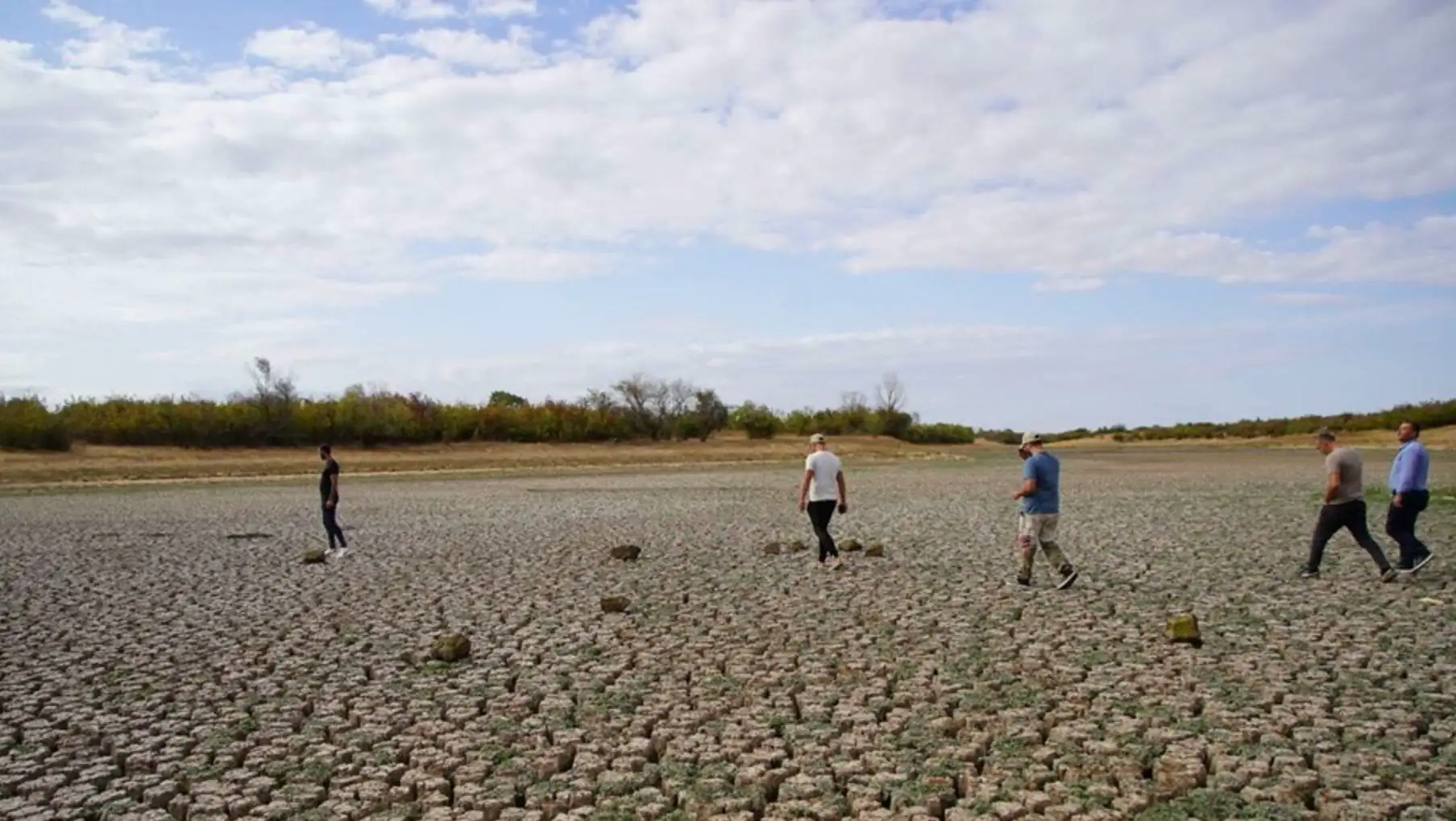 Image of a dry pond