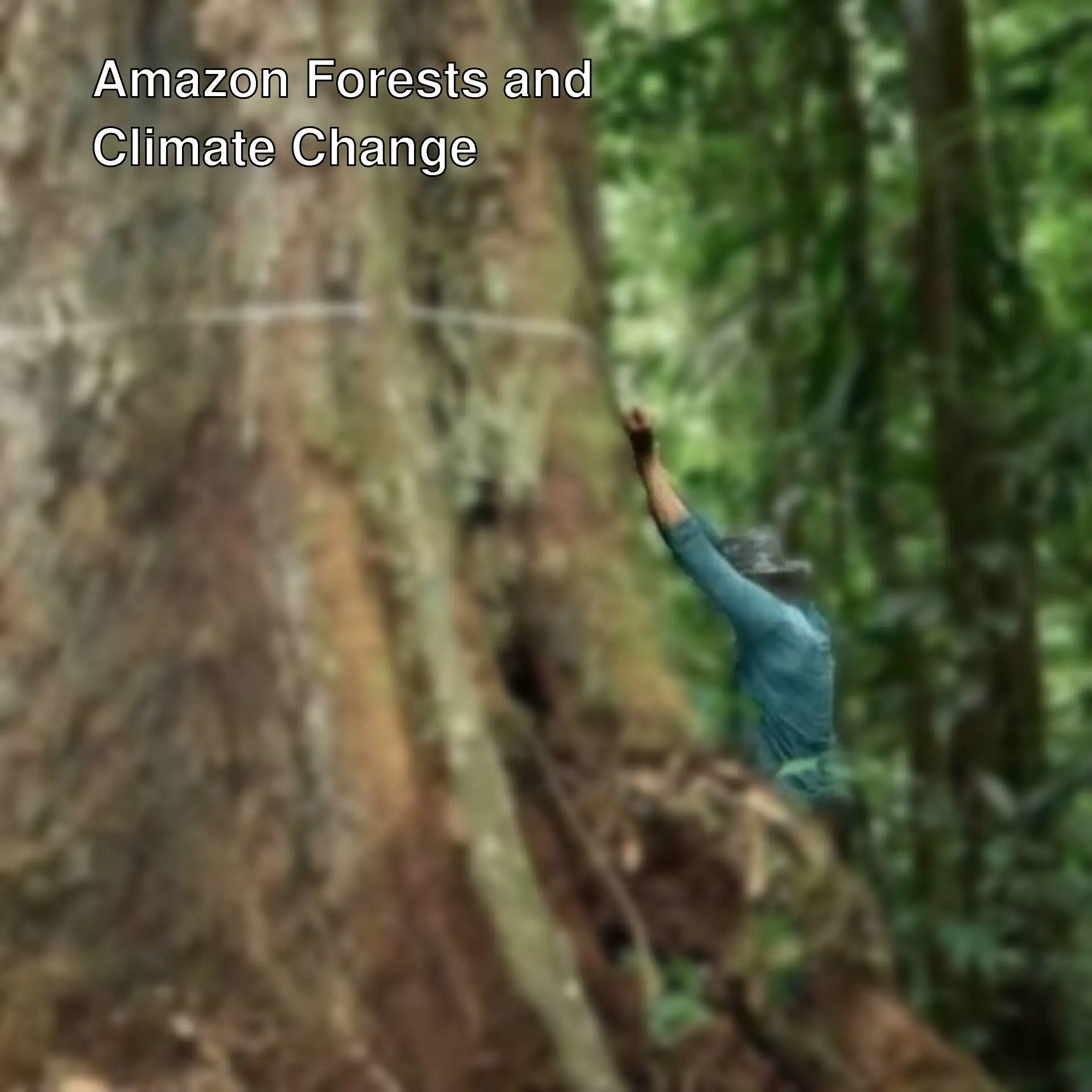 A man holding a rope around a tree.