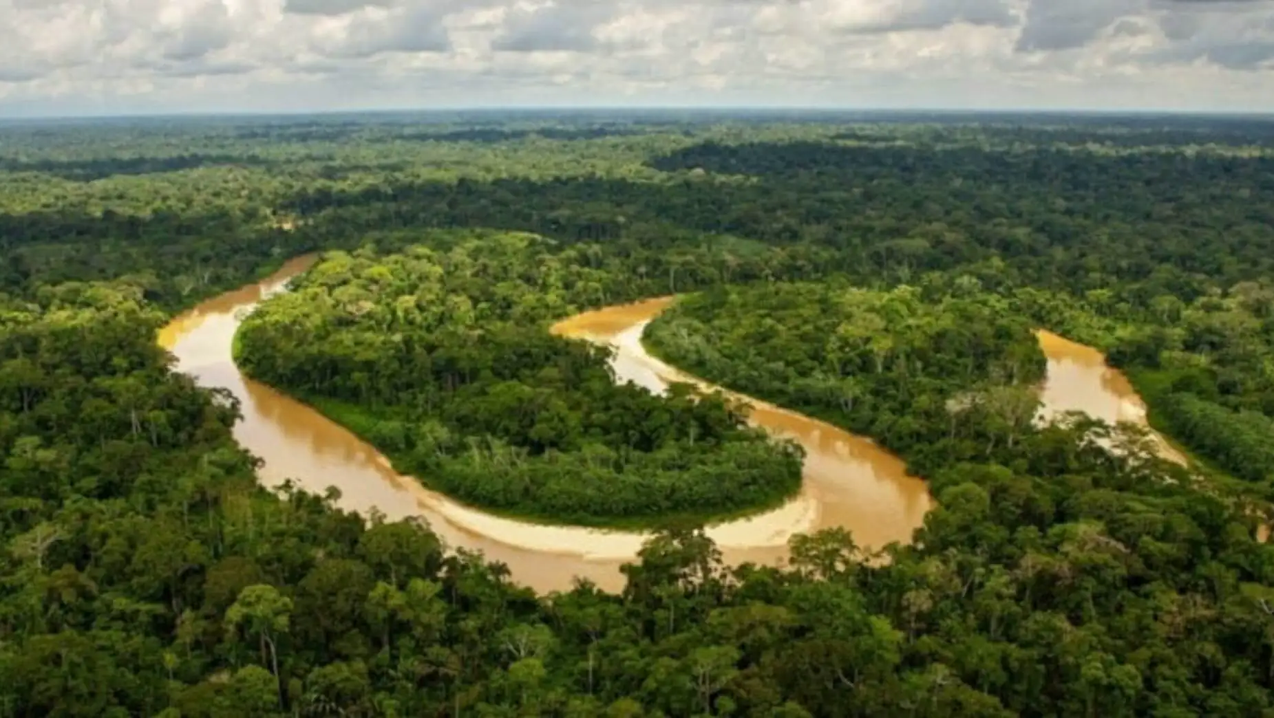 A river flowing through a forest.