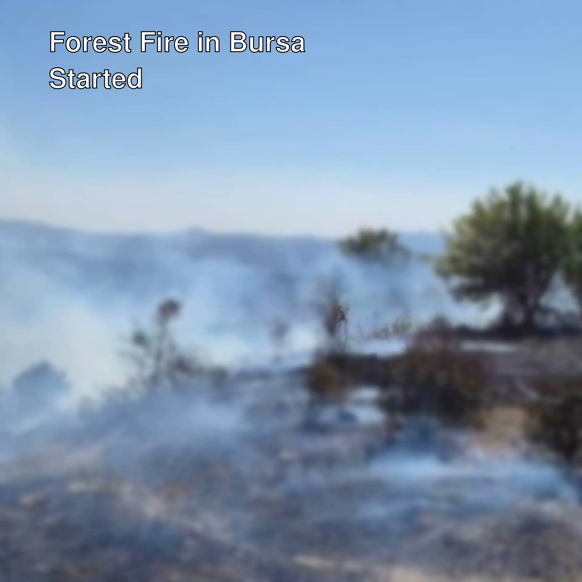 Forest fire in Bursa.