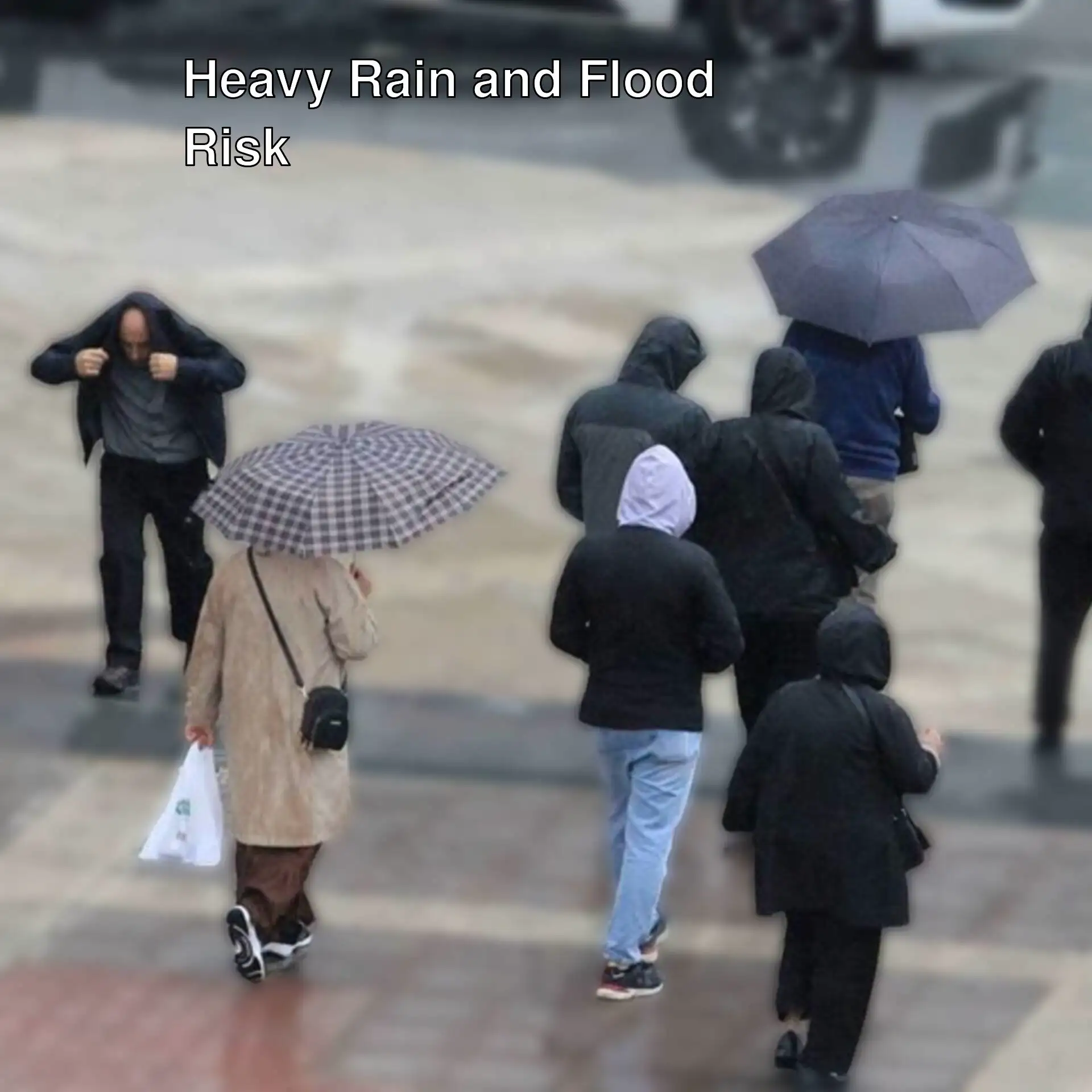 A group of people walking in the rain with umbrellas.