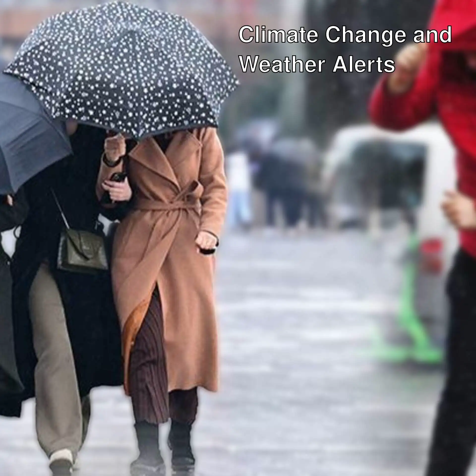 A group of people walking in the rain with umbrellas. A group of people walking in the rain with umbrellas.