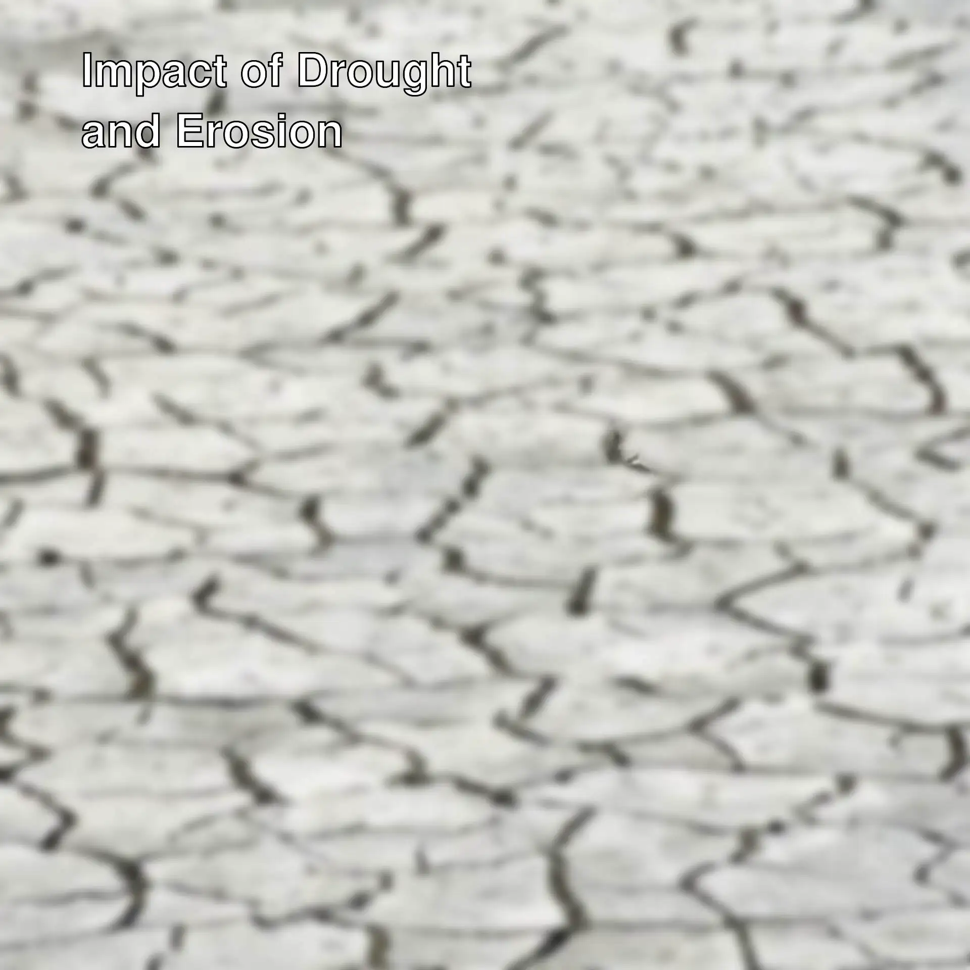 A cracked ground image.