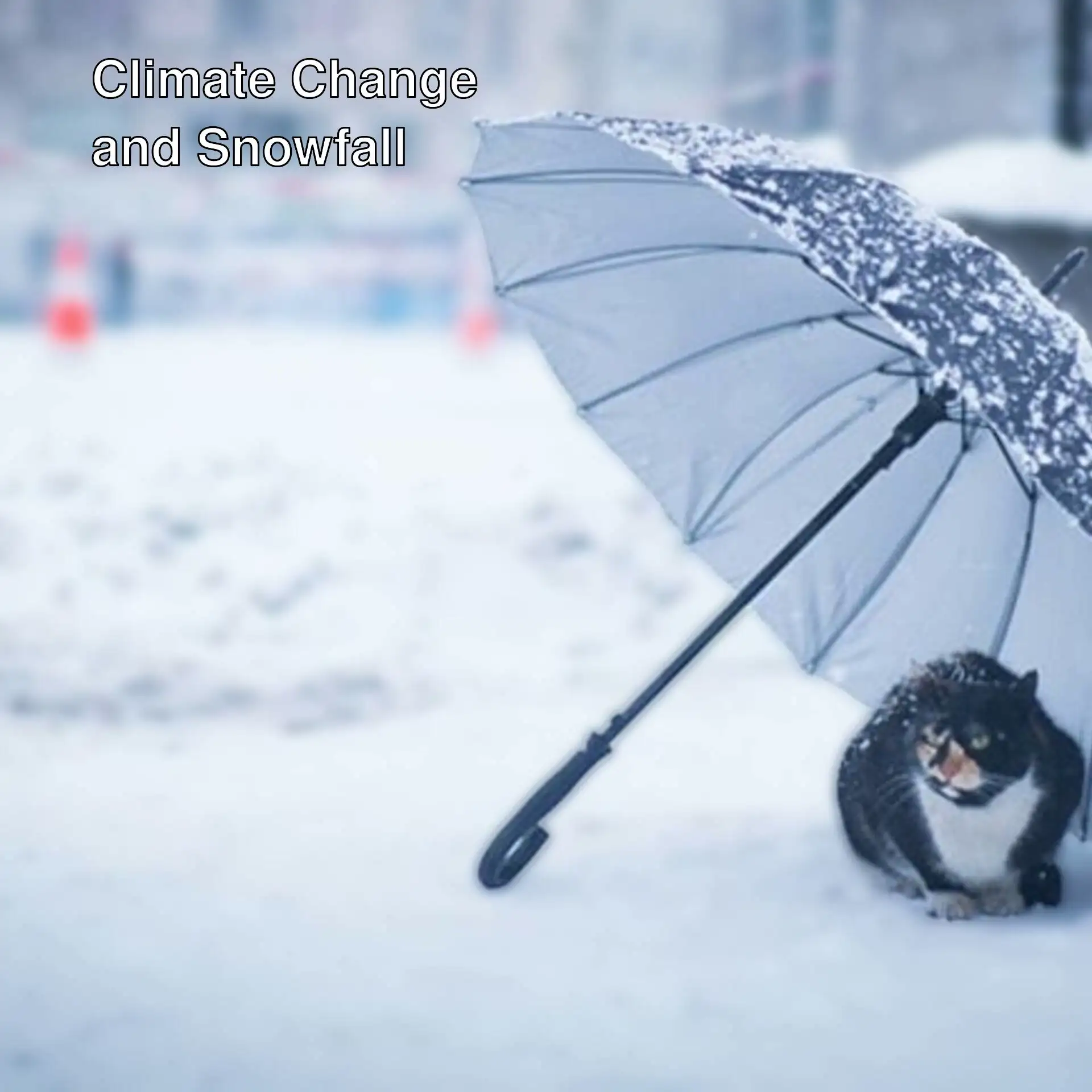 A cat under an umbrella in the snow.