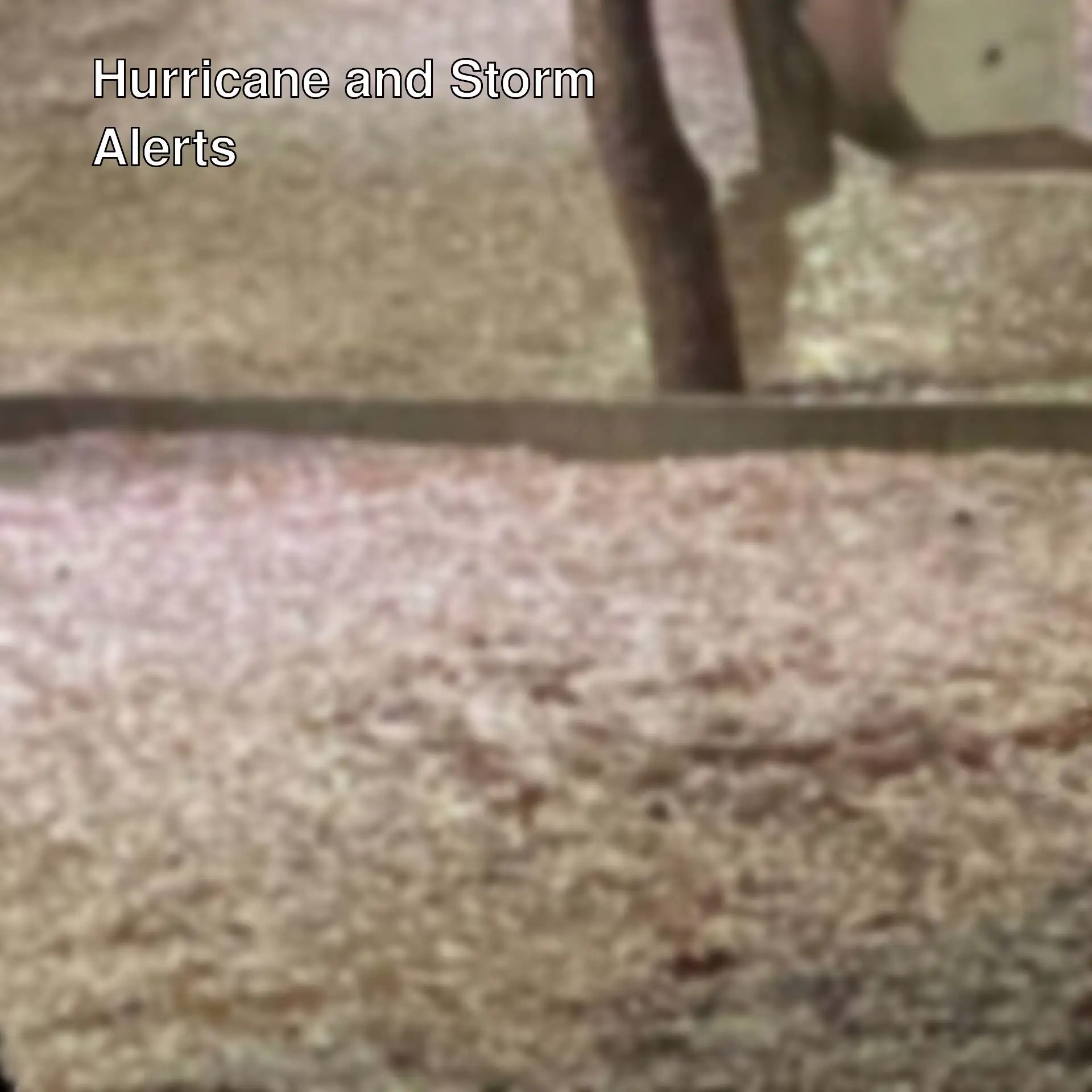 Image of hail the size of hazelnuts after a storm. Image of hail the size of hazelnuts after a storm.