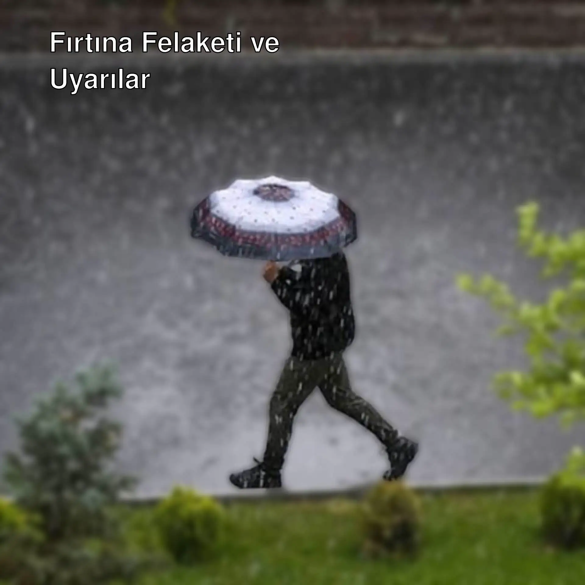 Yağmurda şemsiye tutan bir kişi.