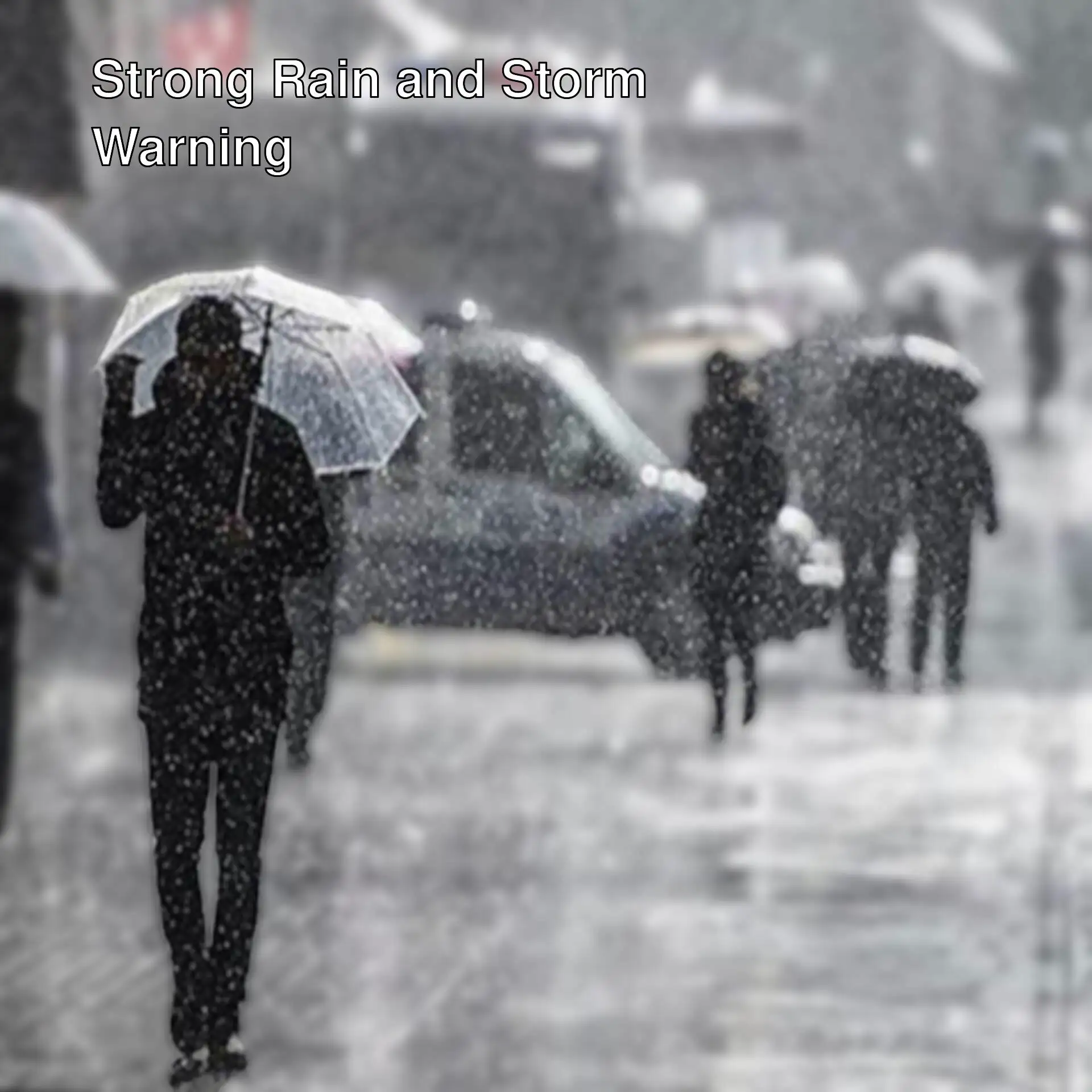 People walking in the rain with umbrellas. People walking in the rain with umbrellas.