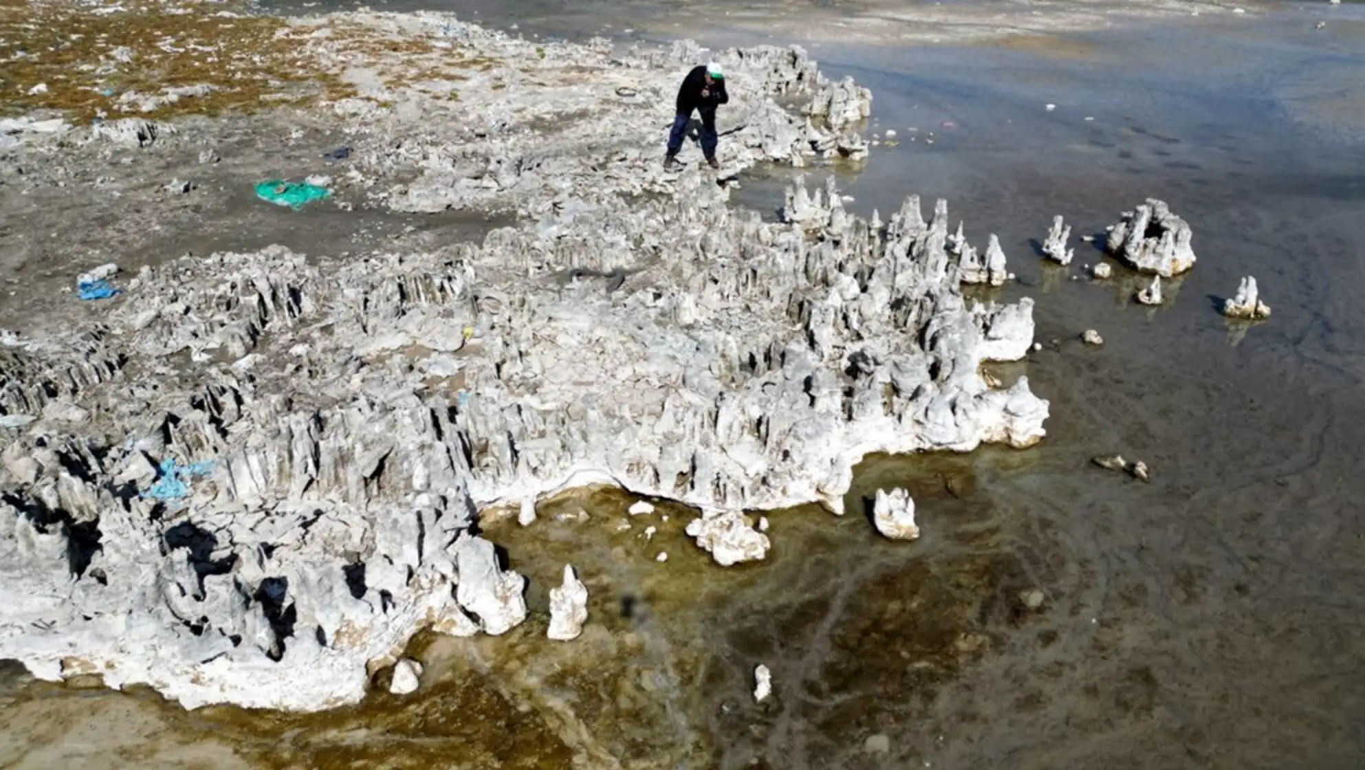 The emergence of microbialites. The emergence of microbialites.