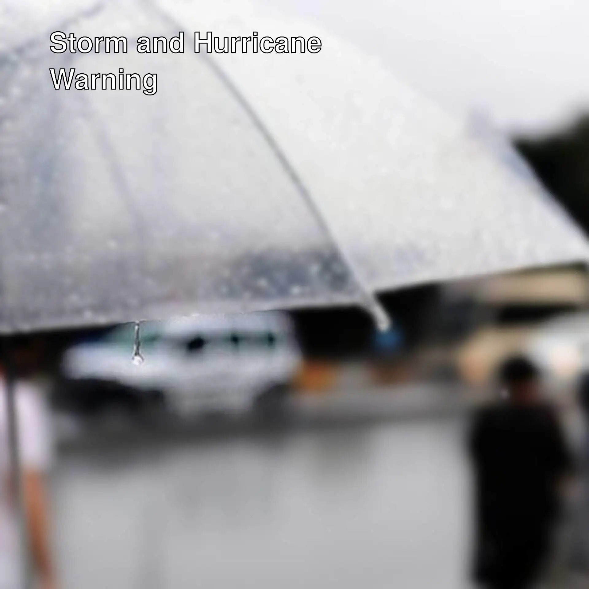 A clear umbrella with water droplets on it. A clear umbrella with water droplets on it.