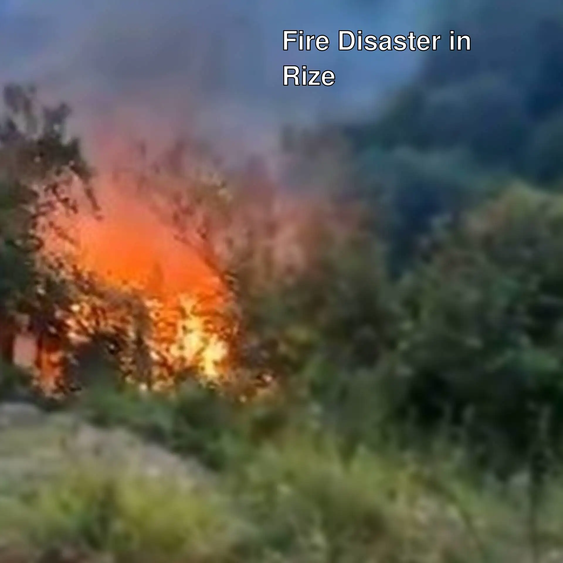 Moments of a shack burning in Rize. Moments of a shack burning in Rize.