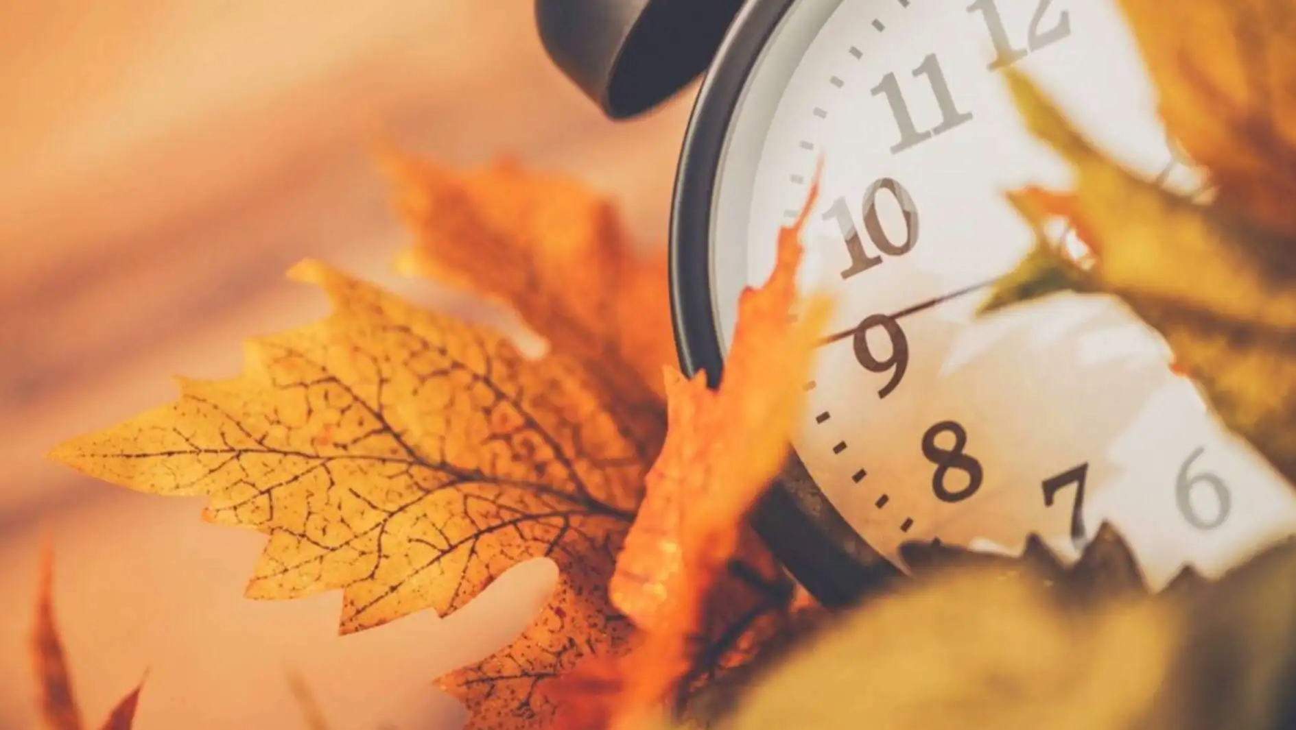 A clock and leaves on a table A clock and leaves on a table