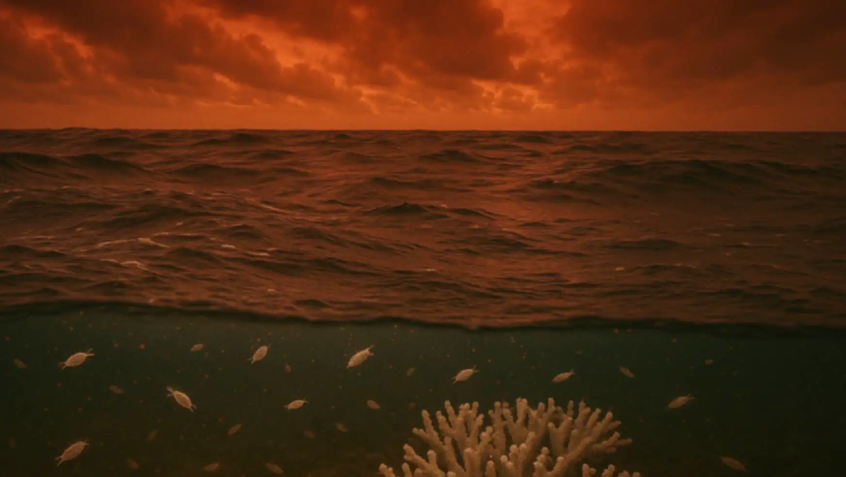 Coral reefs and fish underwater. Coral reefs and fish underwater.
