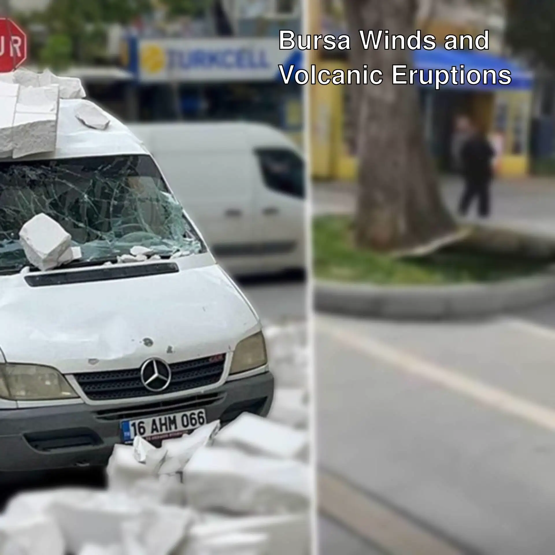 A tree fallen on a car due to strong winds in Bursa. A tree fallen on a car due to strong winds in Bursa.