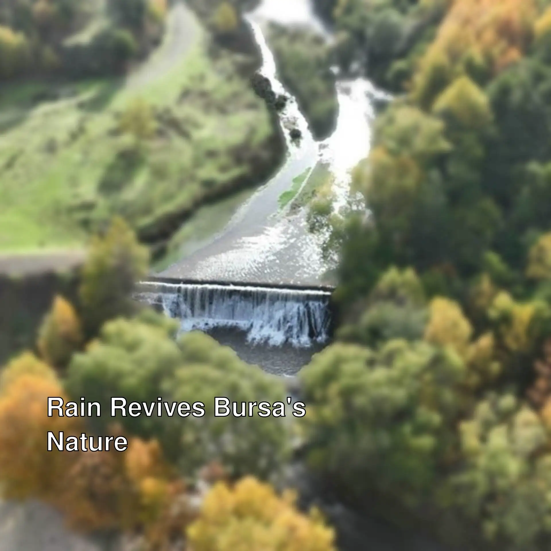 A river flowing through a forest A river flowing through a forest