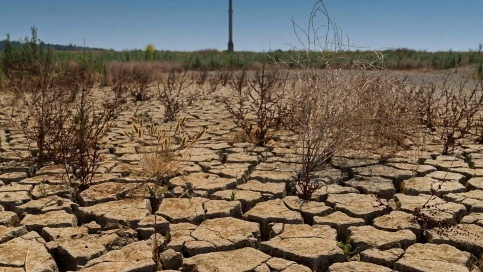Attention is drawn to drought and water crisis in Izmir. Attention is drawn to drought and water crisis in Izmir.