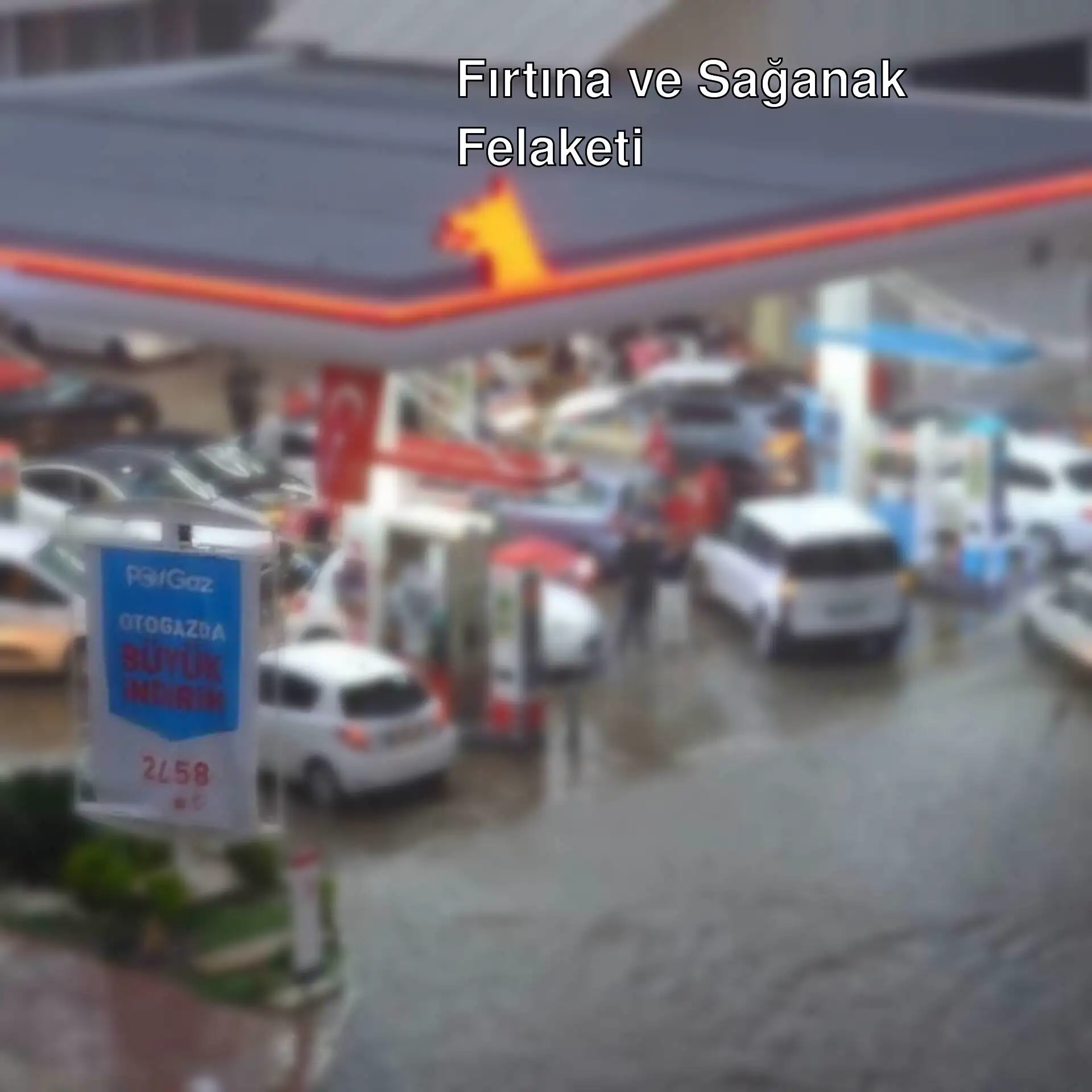 Antalya'da fırtına sonrası devrilen ağaçlar. Antalya'da fırtına sonrası devrilen ağaçlar.