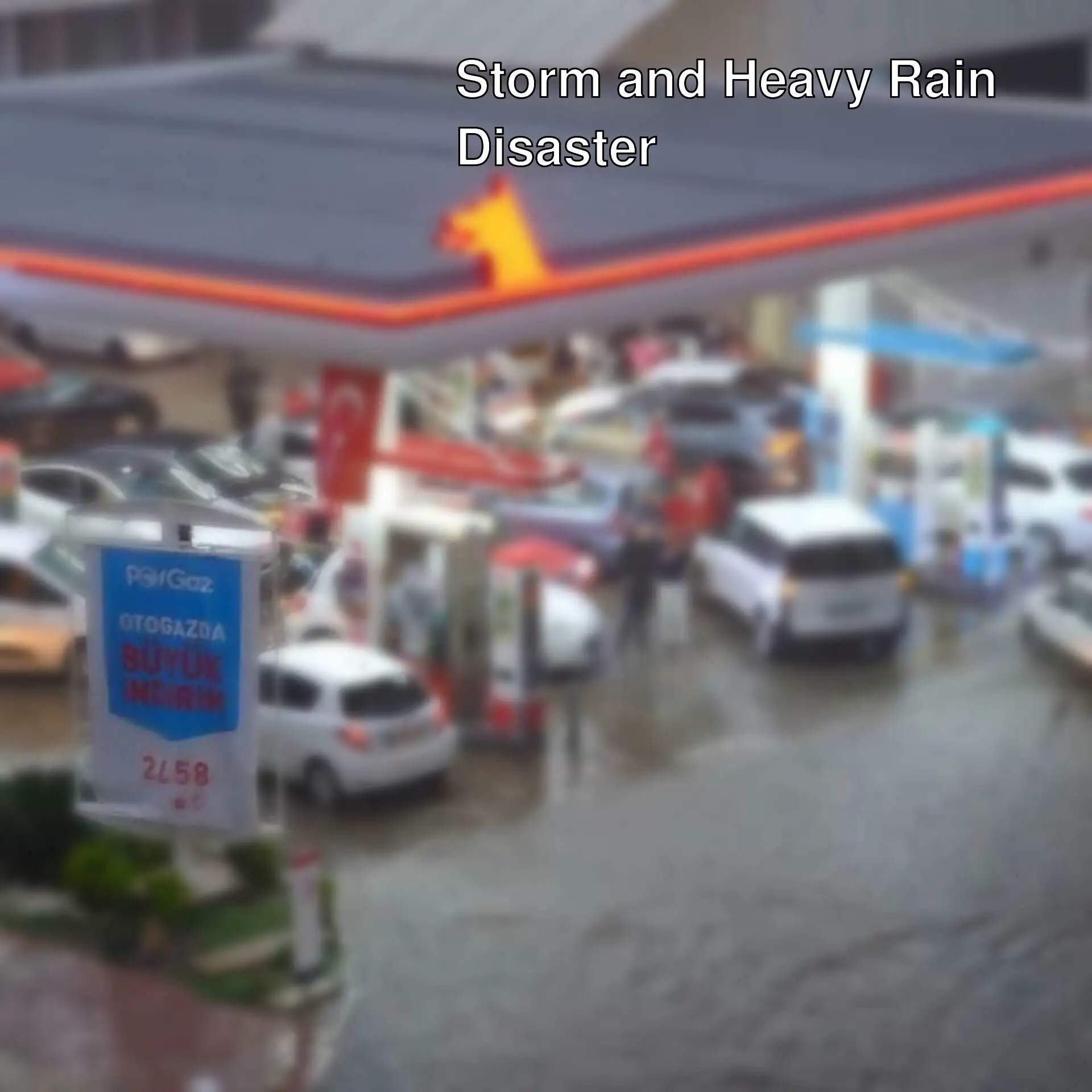 Fallen trees after the storm in Antalya. Fallen trees after the storm in Antalya.