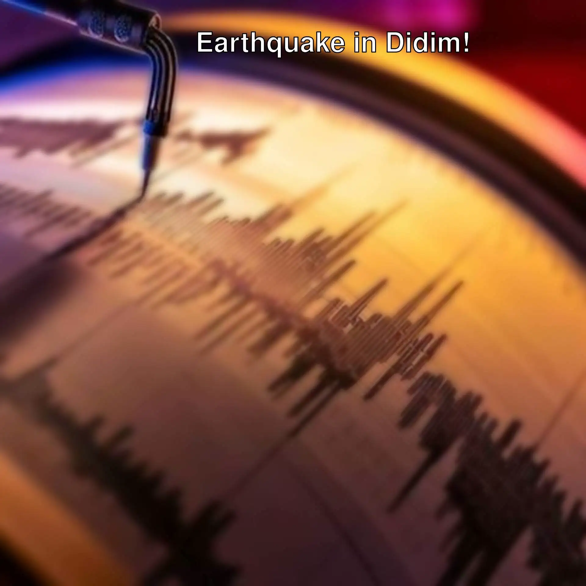 A sound wave image related to the earthquake in Didim. A sound wave image related to the earthquake in Didim.