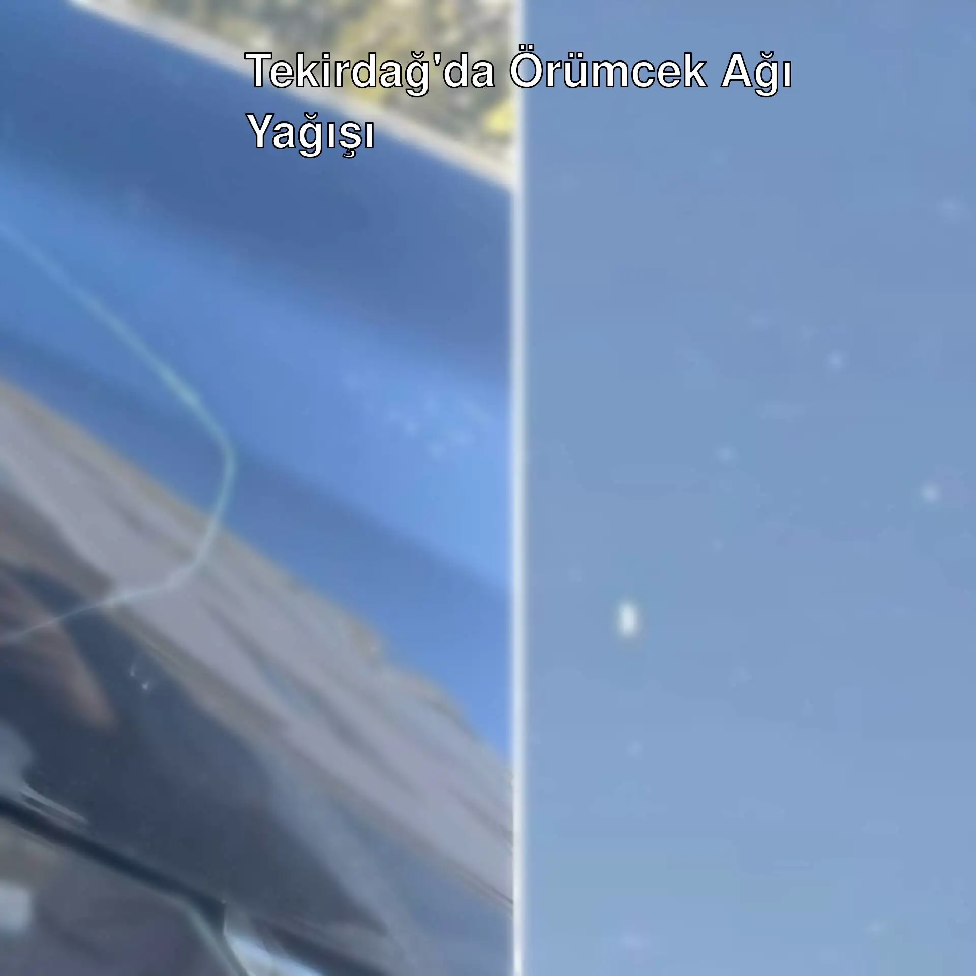 Tekirdağ'da gökyüzünden örümcek ağı yağışı. Tekirdağ'da gökyüzünden örümcek ağı yağışı.