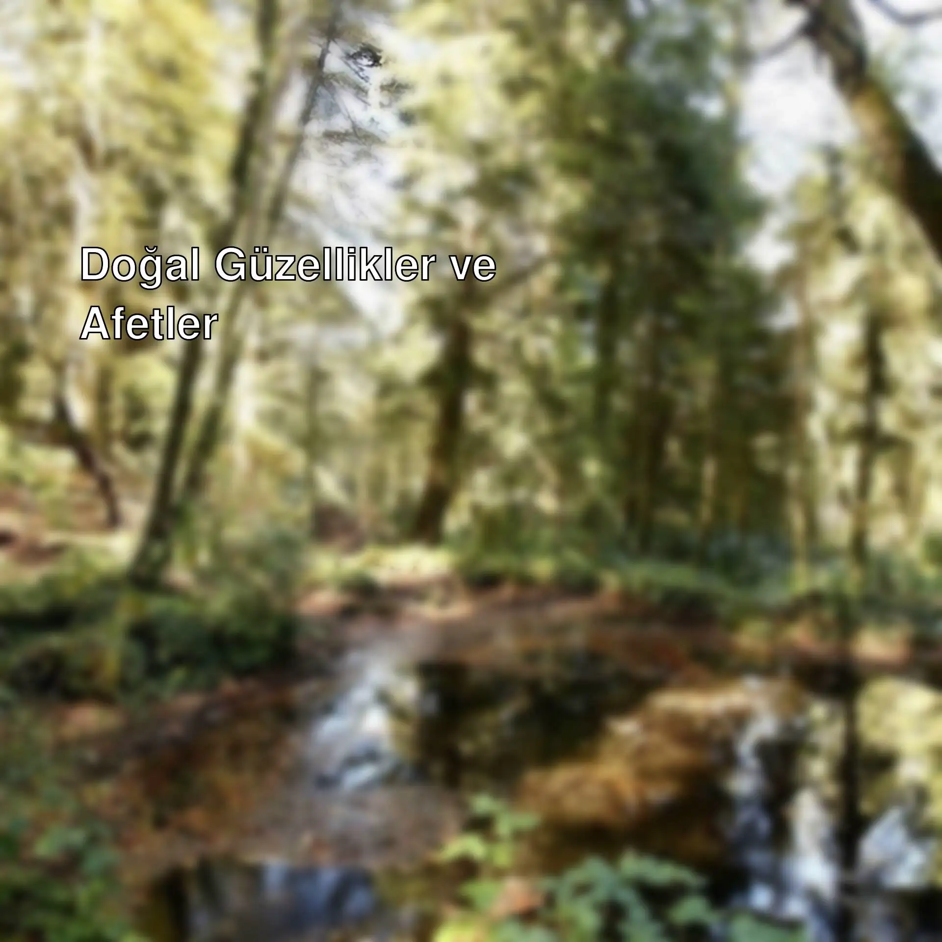 Kuzalan Tabiat Parkı'nda doğal güzellikler. Kuzalan Tabiat Parkı'nda doğal güzellikler.