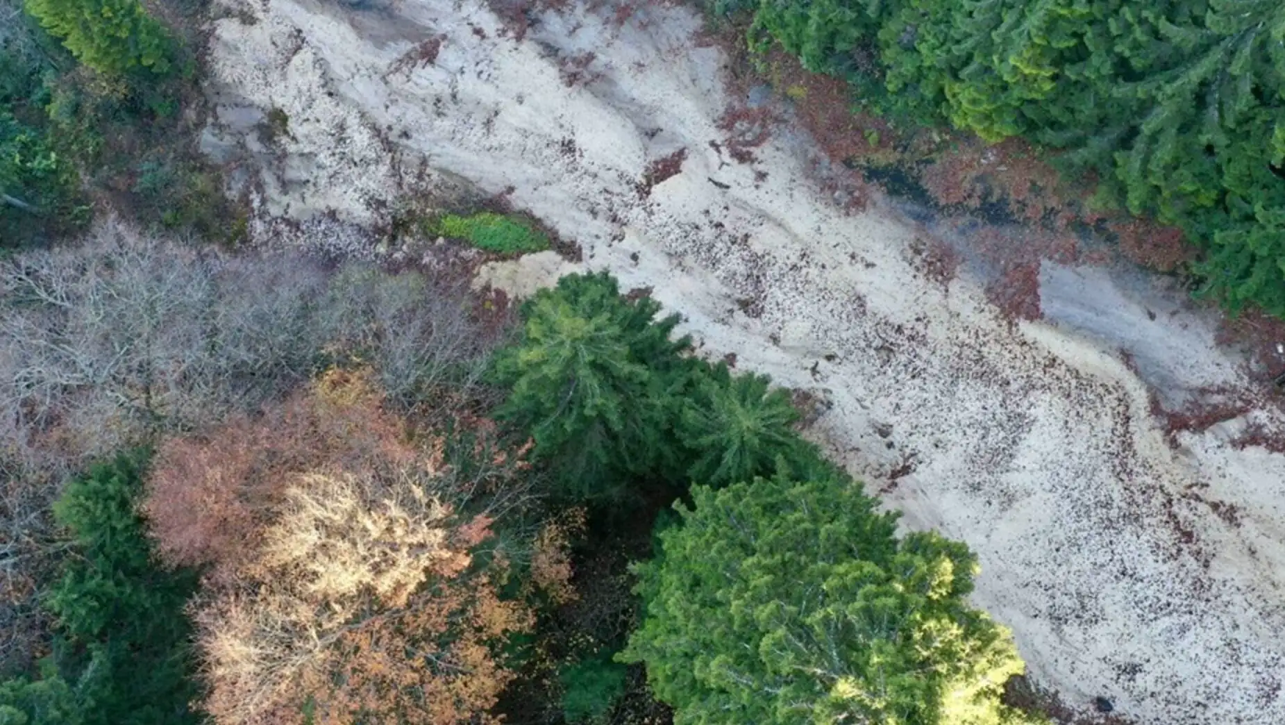 Doğal güzelliklerin yer aldığı bir yol. Doğal güzelliklerin yer aldığı bir yol.