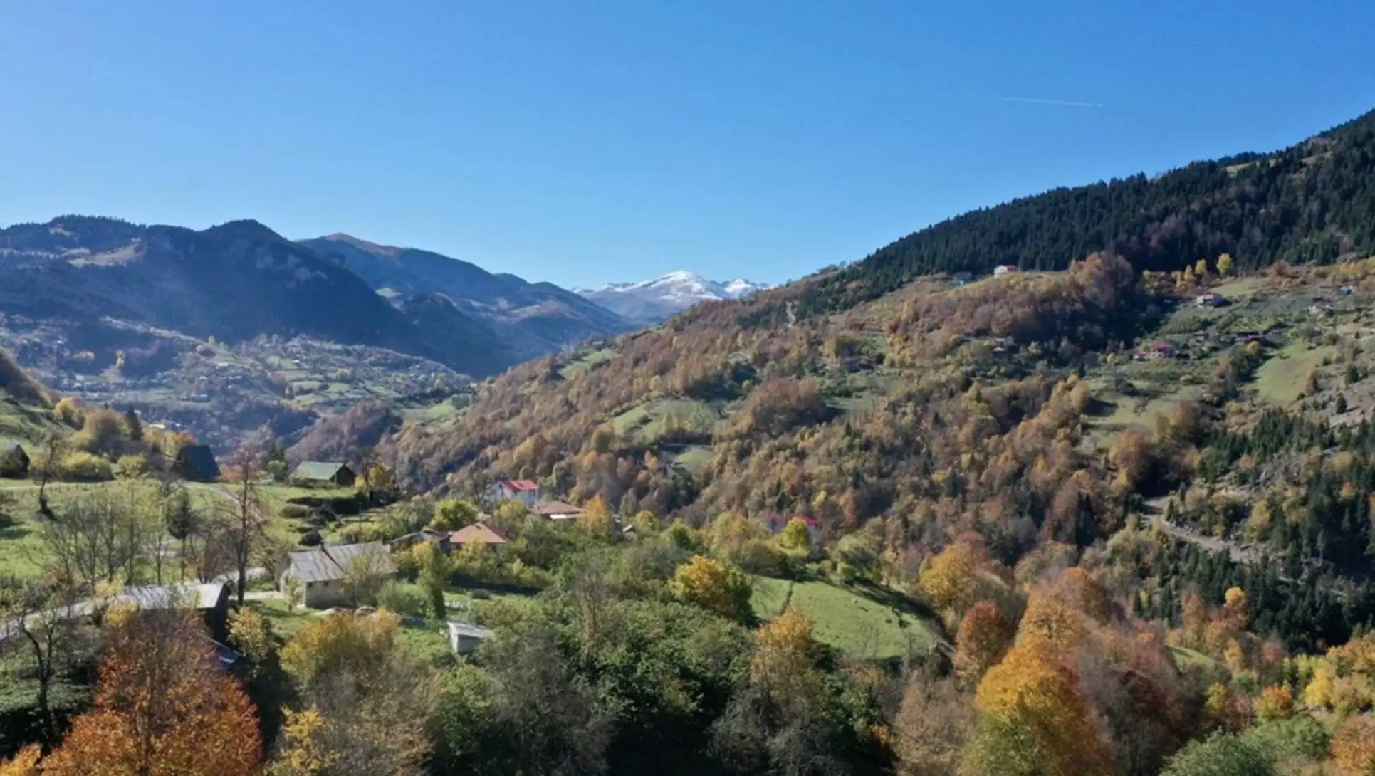 A landscape with trees and mountains.