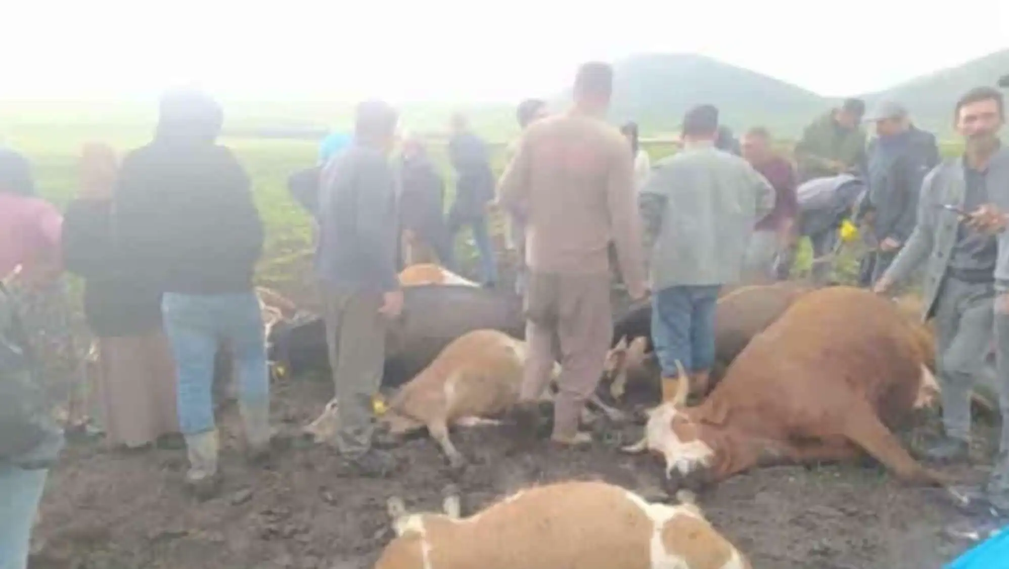 Kars'ta yıldırım düşmesi sonucu yaralanan çobanlar. Kars'ta yıldırım düşmesi sonucu yaralanan çobanlar.
