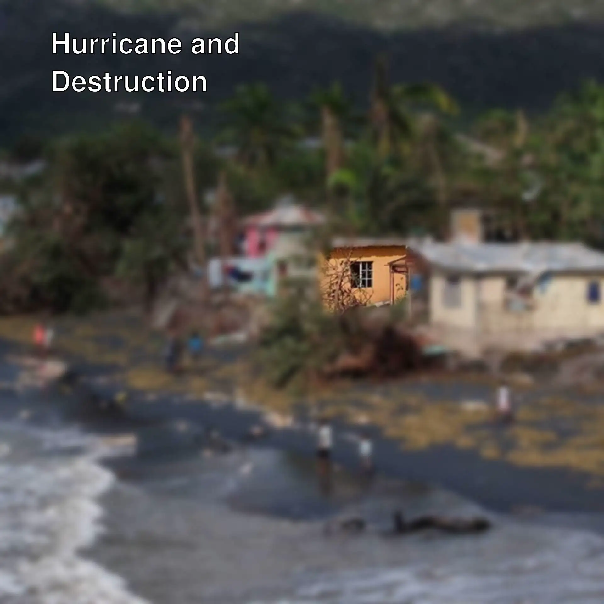 Destruction caused by the hurricane in the Caribbean.