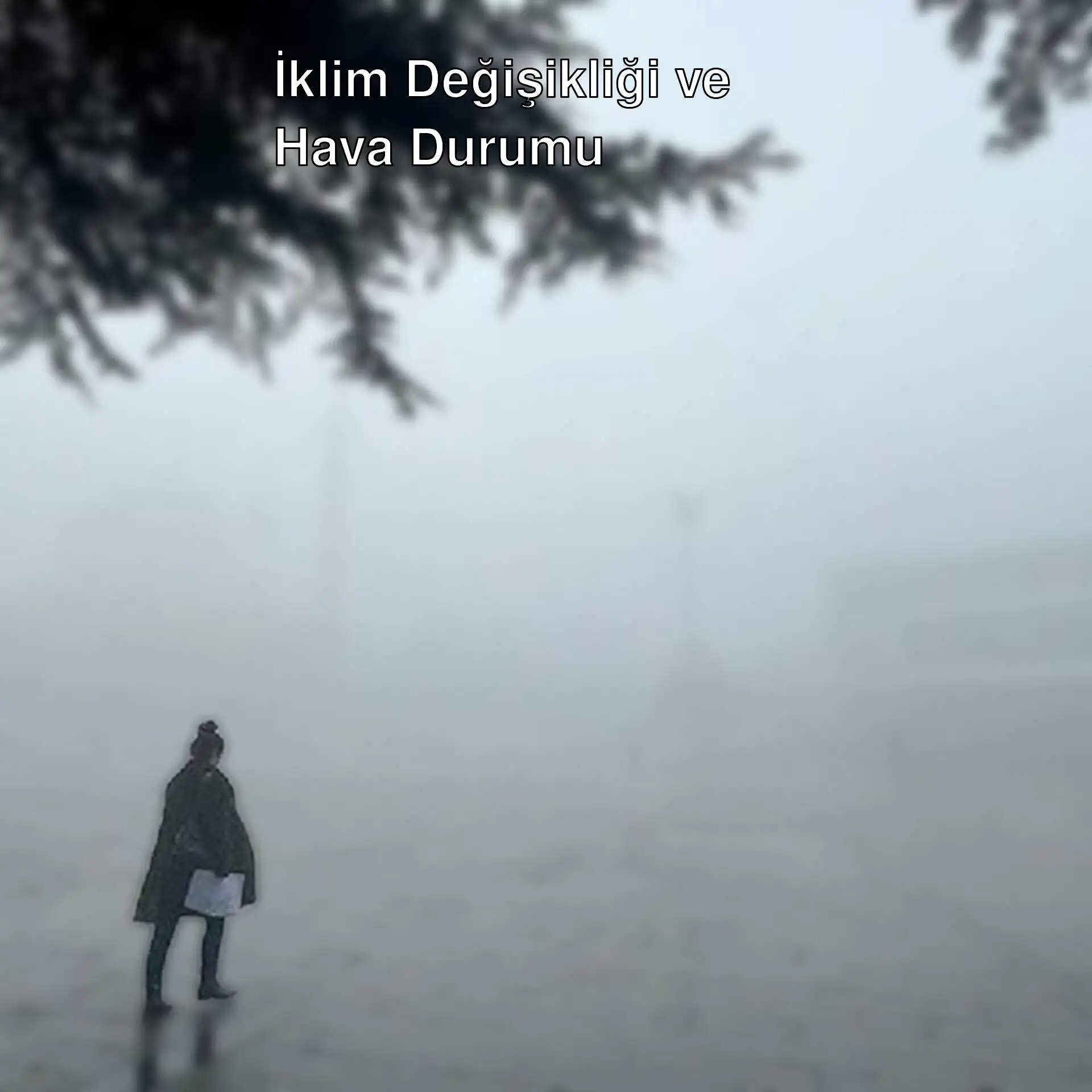 Sisli bir alanda duran bir kişi. Sisli bir alanda duran bir kişi.