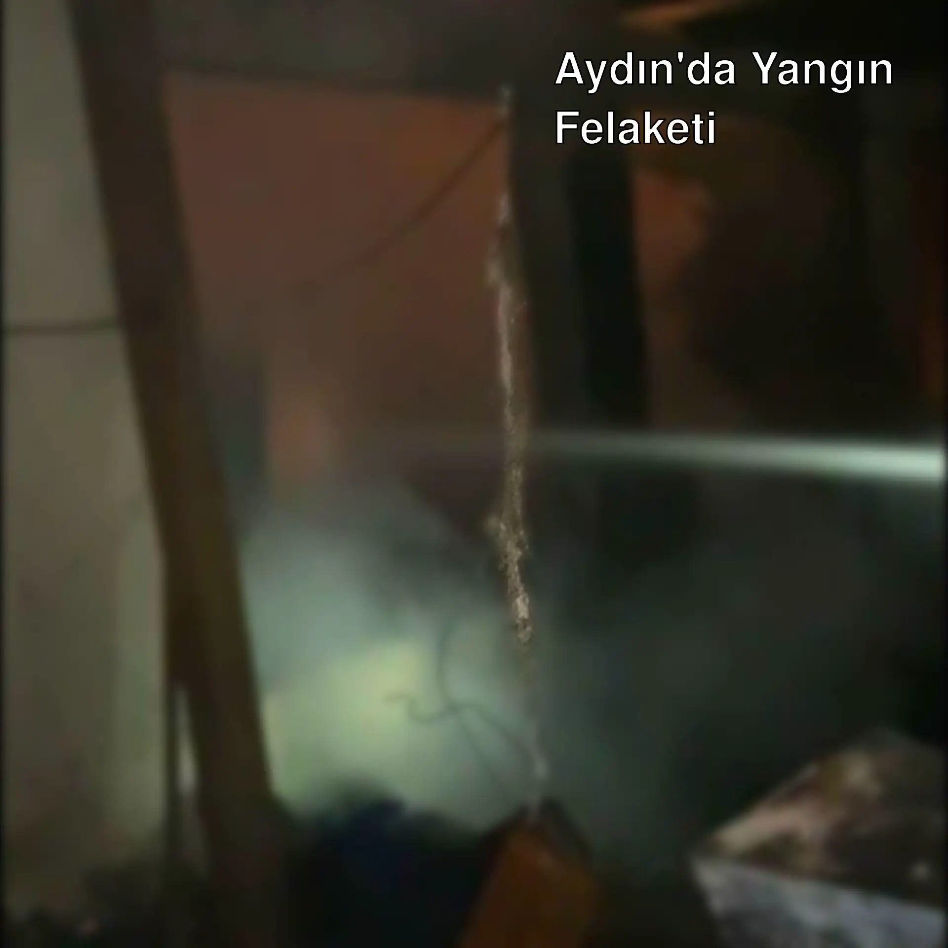 Aydın'da bağ evinde yangın!