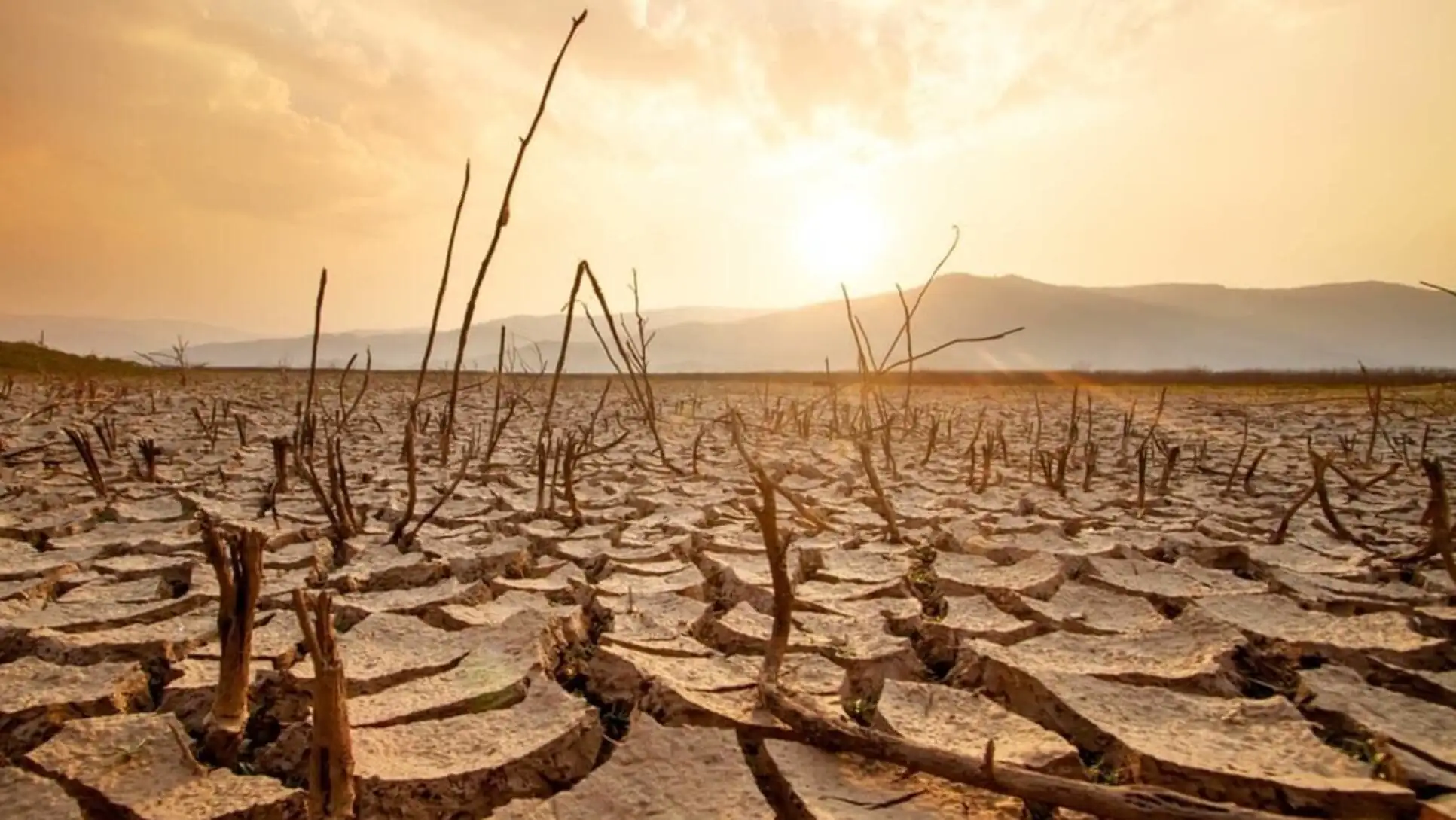 A cracked ground A cracked ground