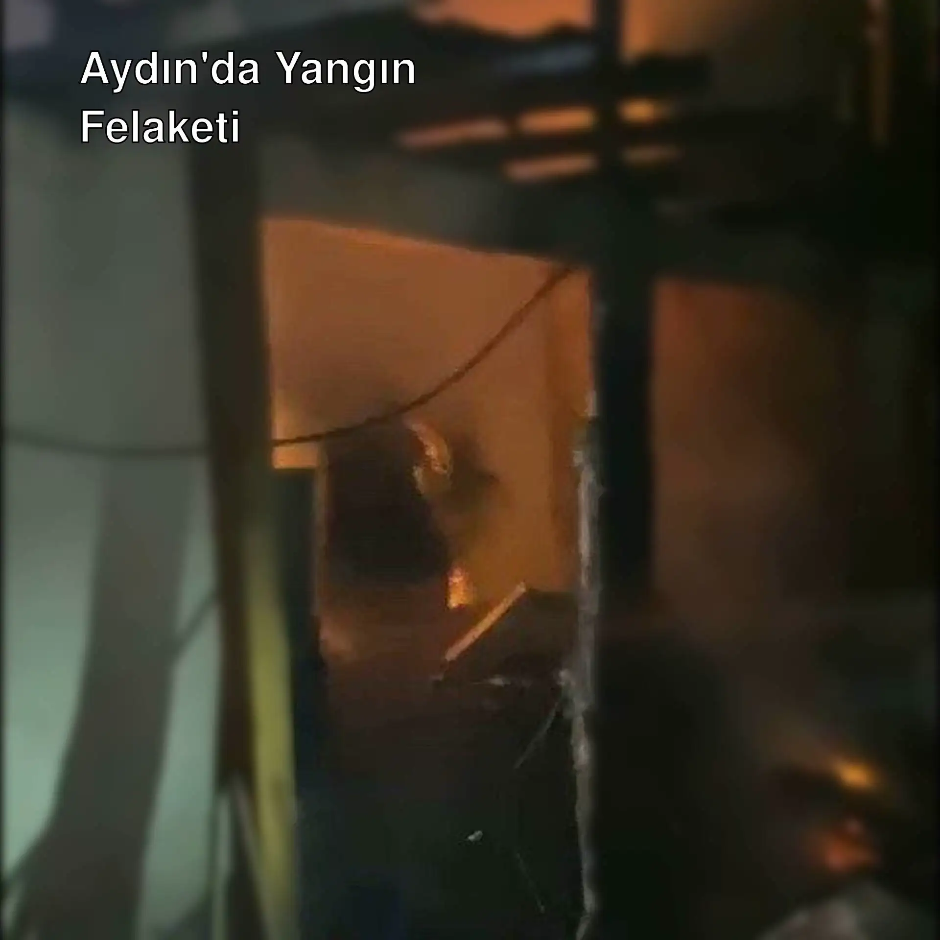 Aydın'da bir bağ evinde çıkan yangın.