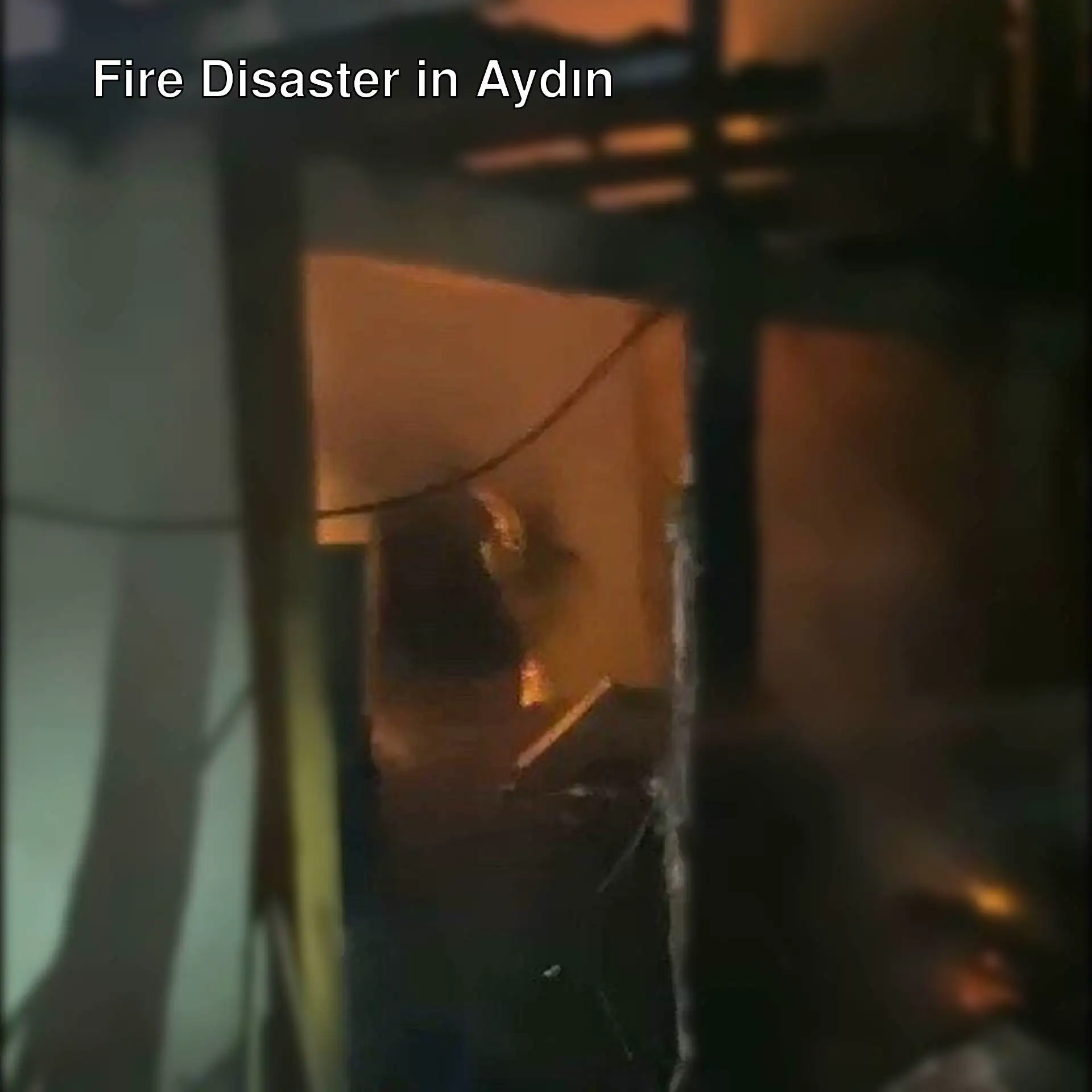 Fire in a vineyard house in Aydın.