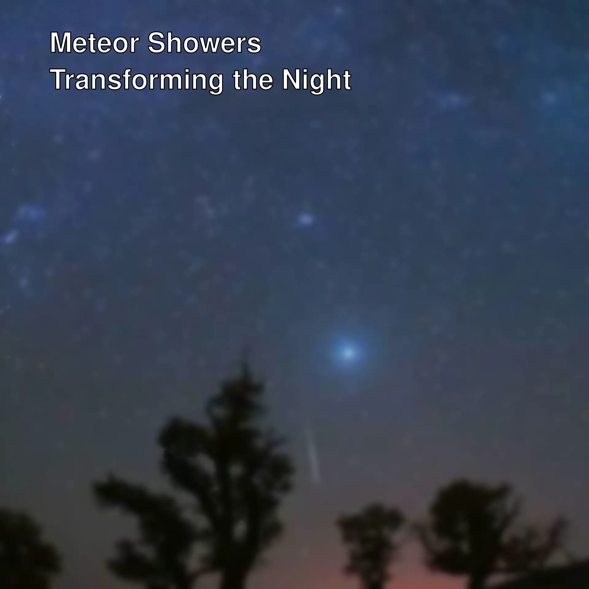 A starry sky during the meteor shower.