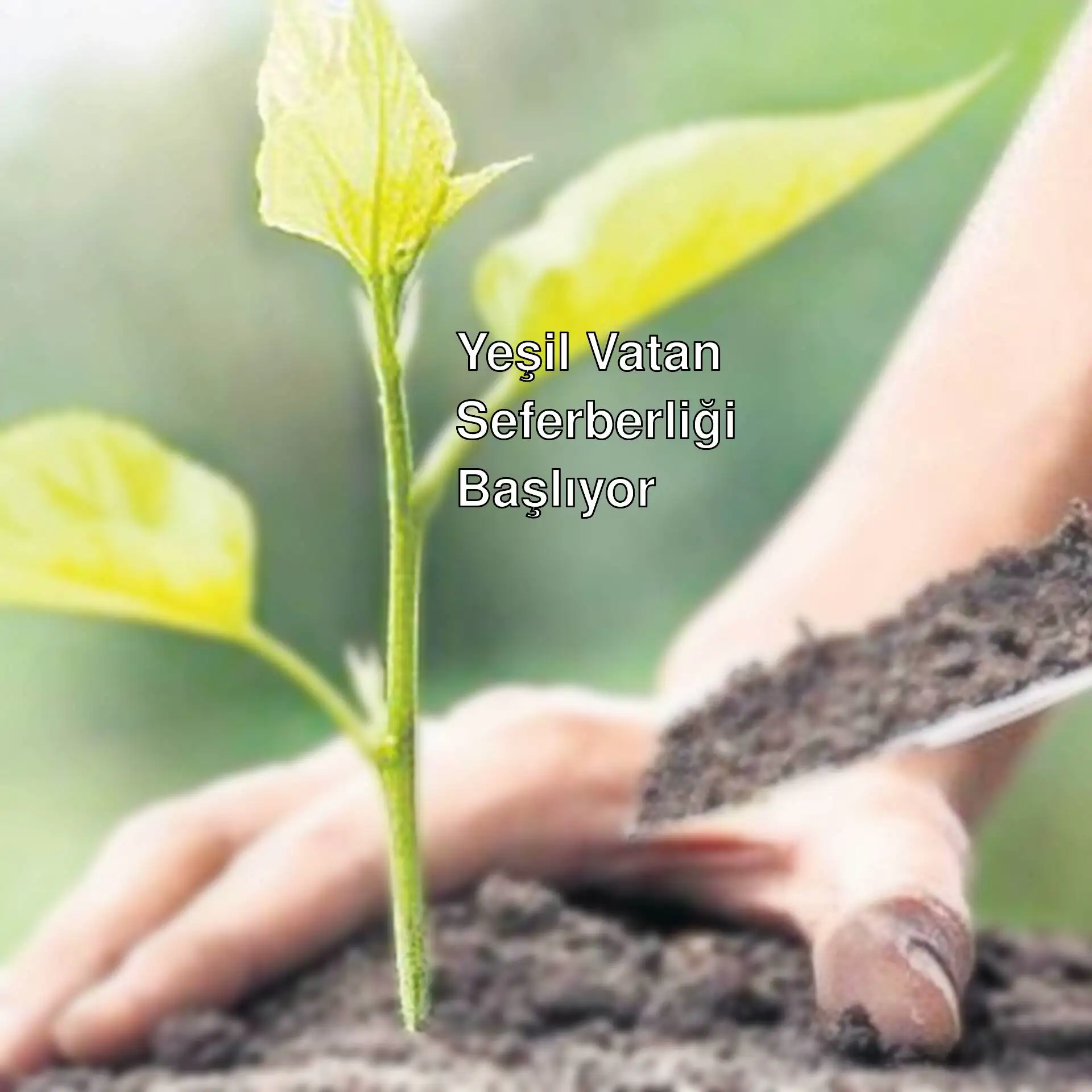 Yeşil Vatan Seferberliği ile ilgili bir görsel.