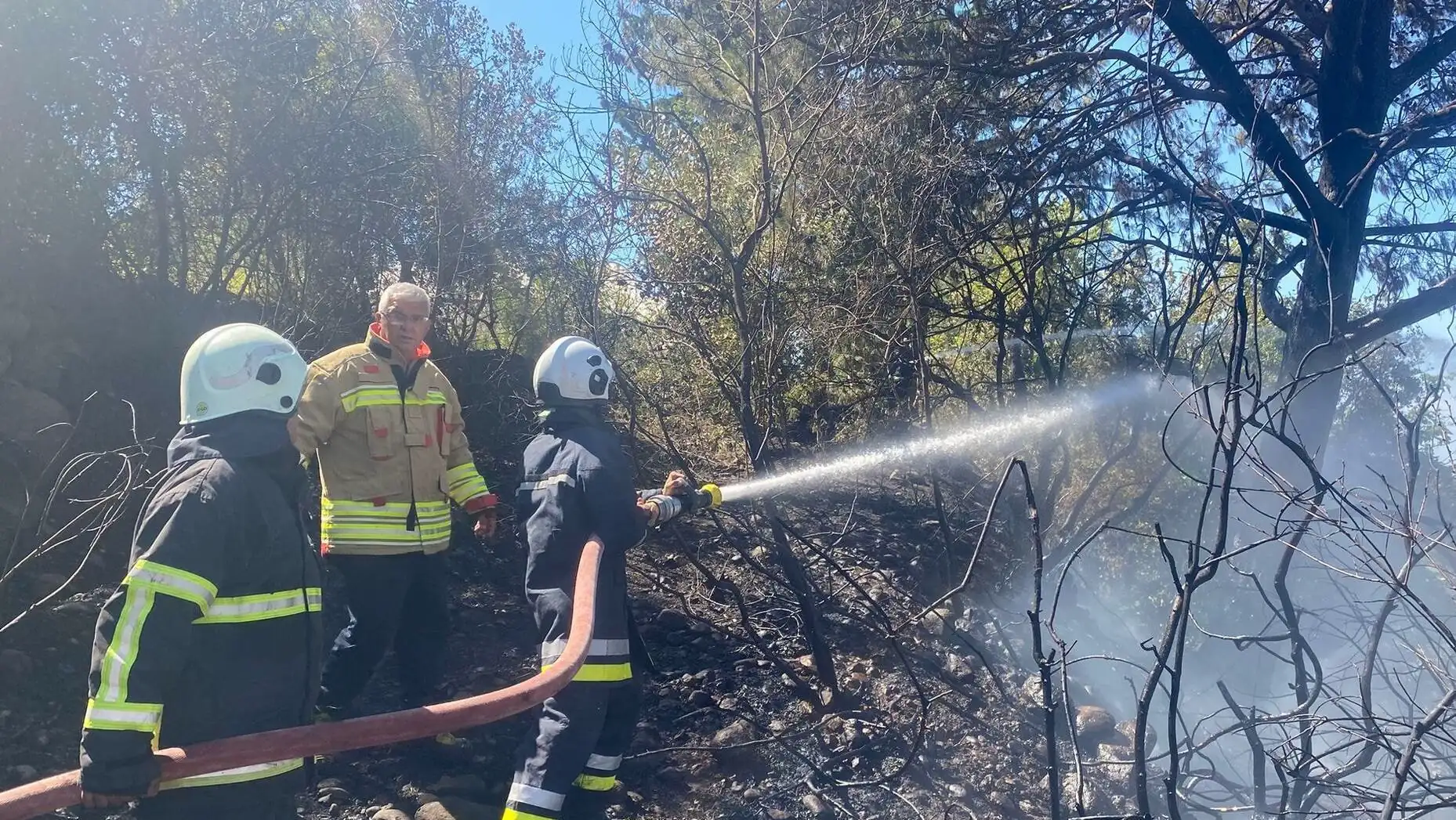 A group of firefighters spraying water on a forest fire.