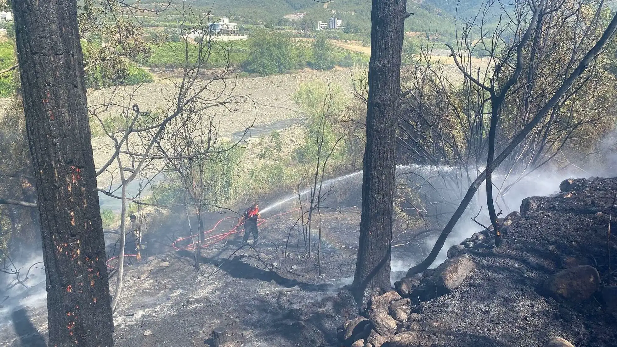 A firefighter on a forest fire.
