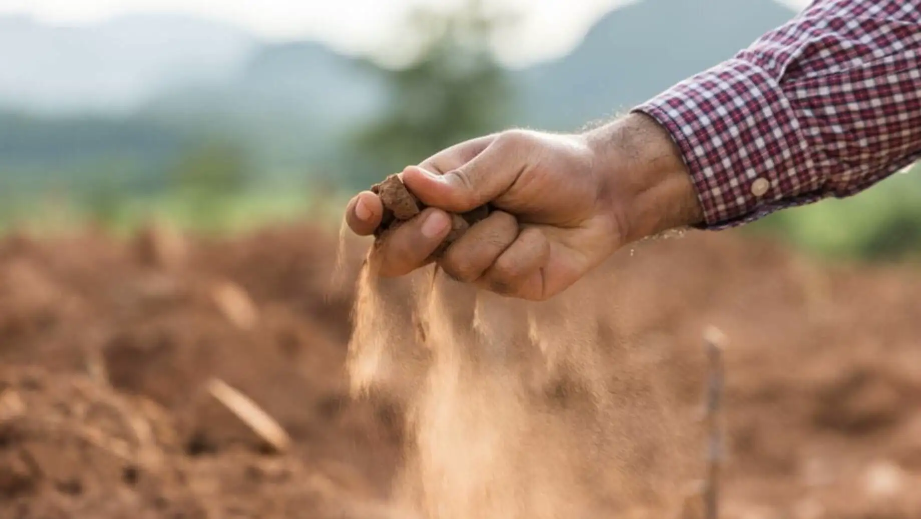 A hand holding dirt.