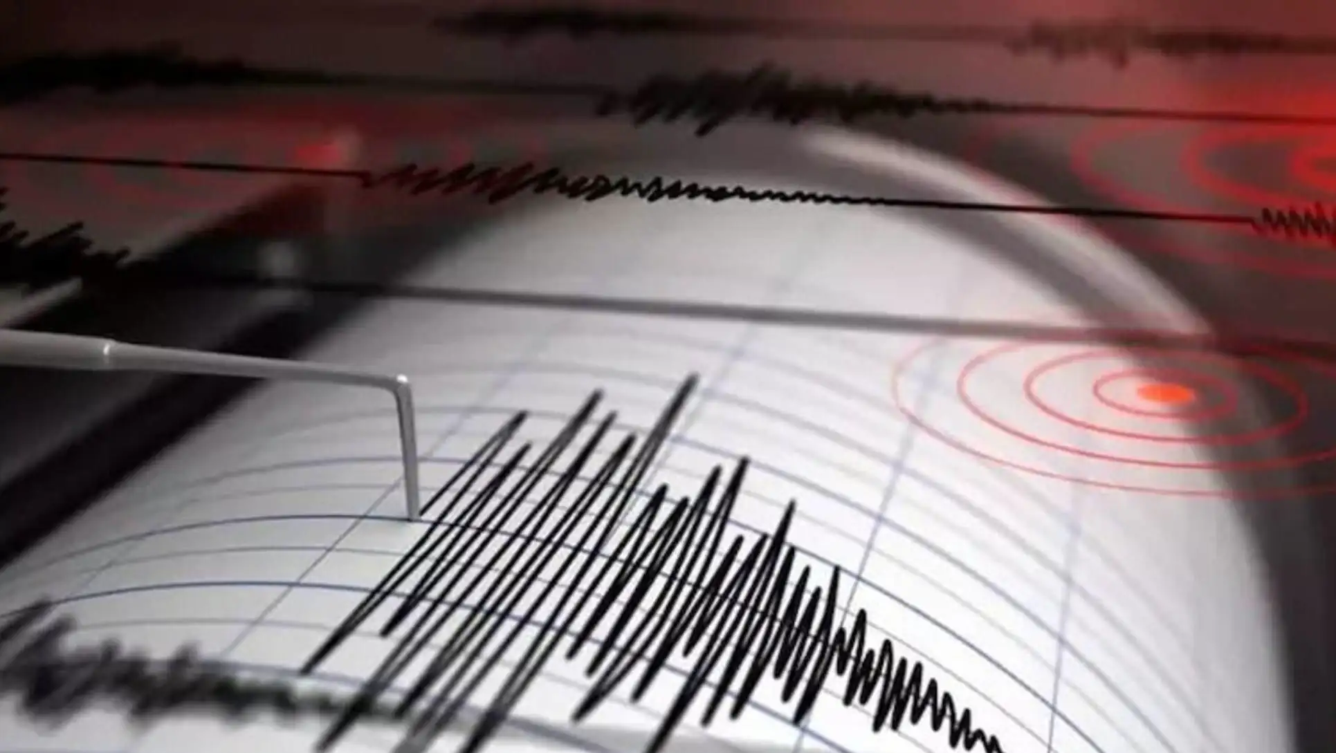 A seismograph showing a graph.