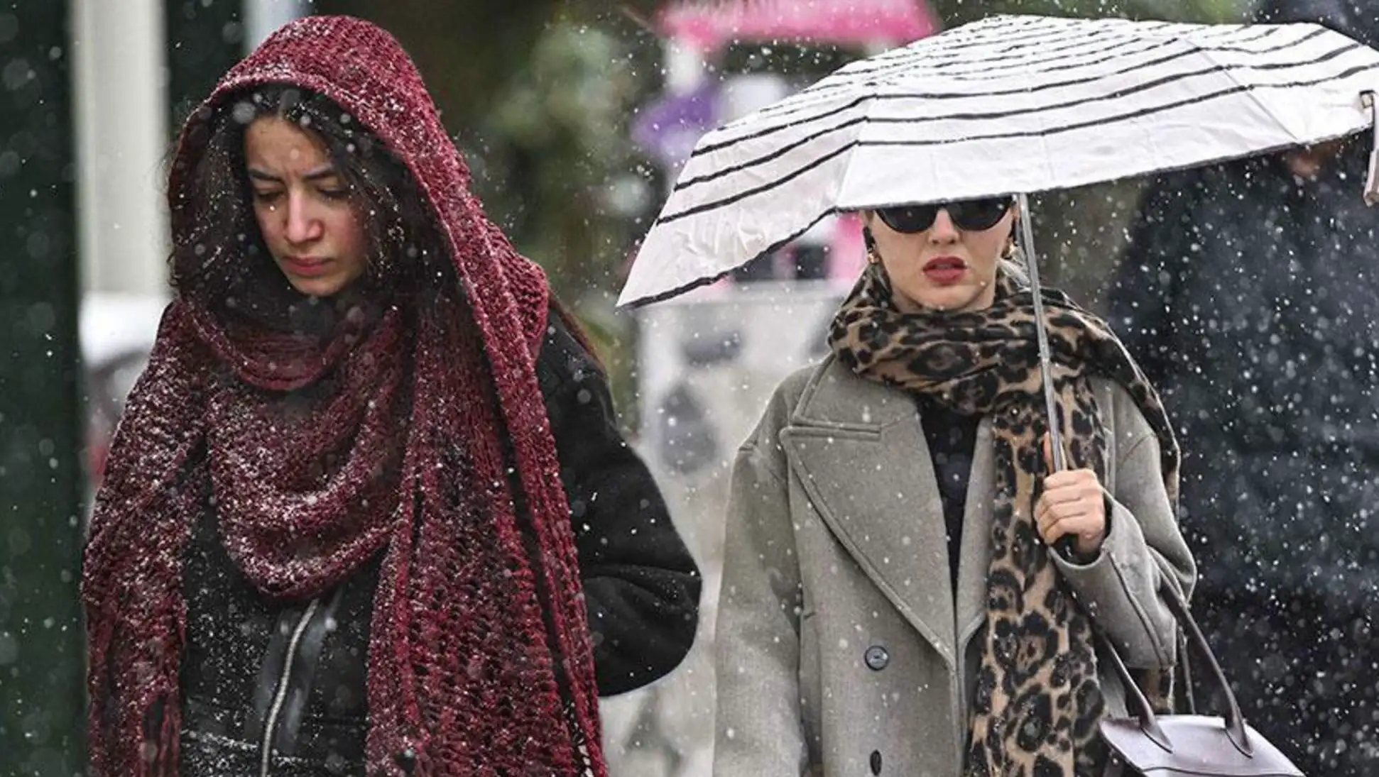 A group of women under an umbrella in the snow.