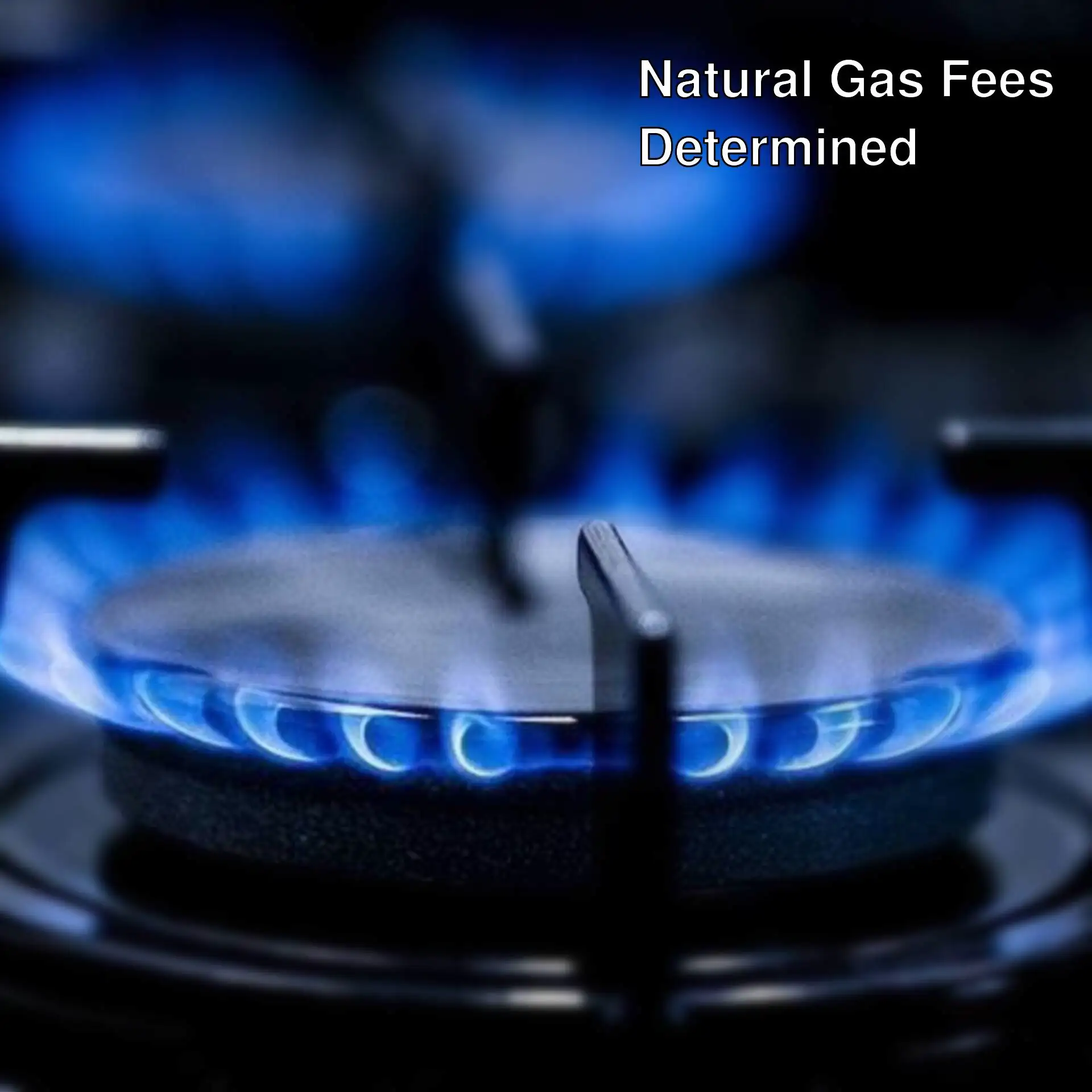 Blue flame of a gas stove Blue flame of a gas stove