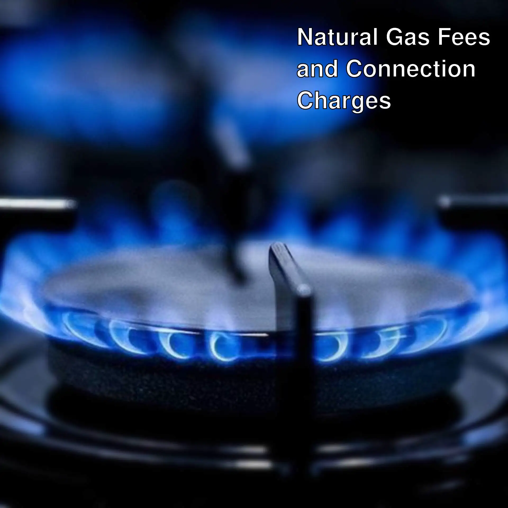 A blue flame of a gas stove A blue flame of a gas stove