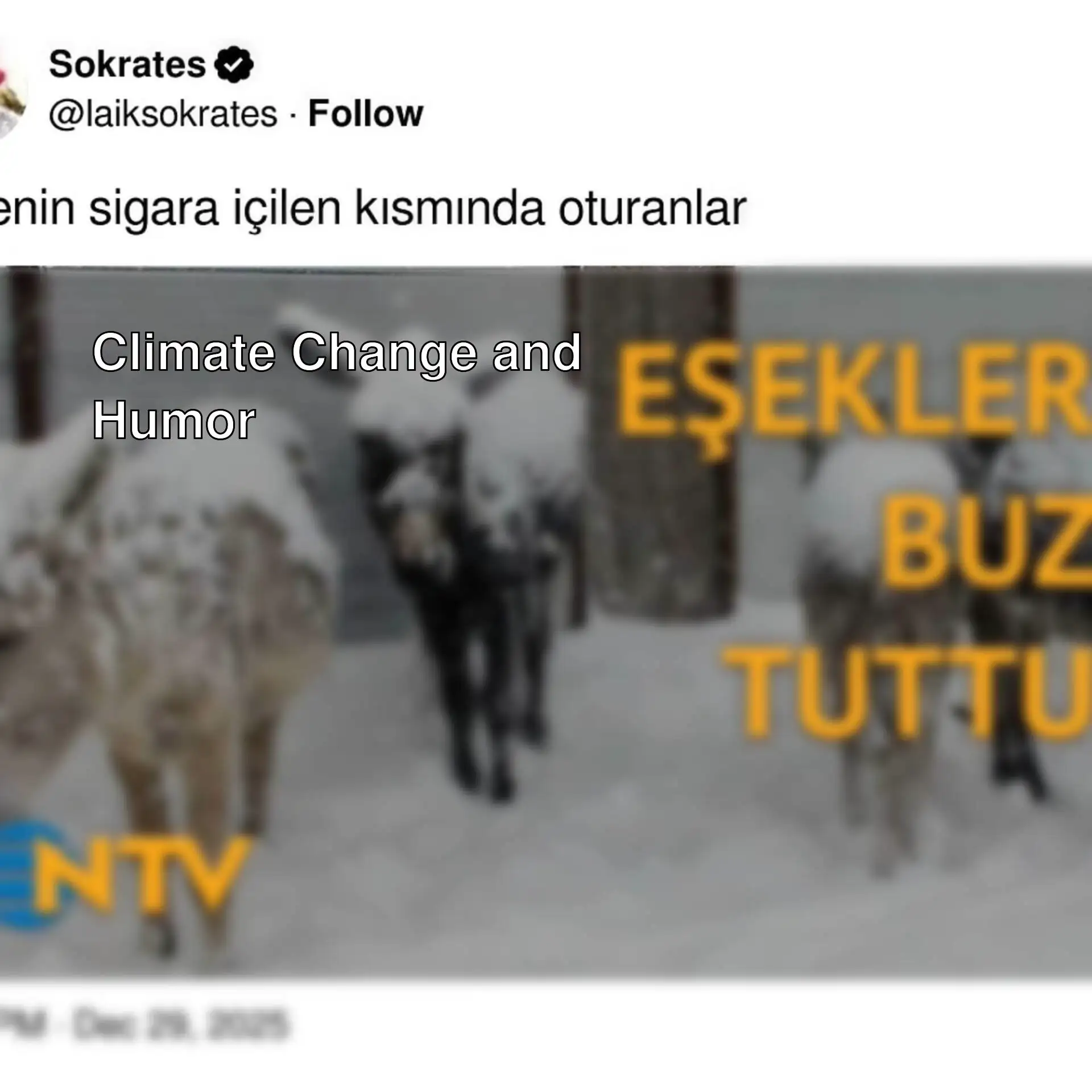 A group of animals in the snow.