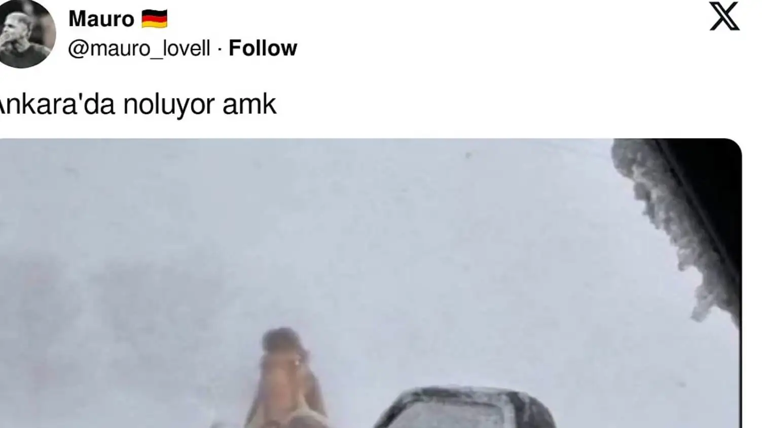 A person standing in the snow with a couple of dogs.