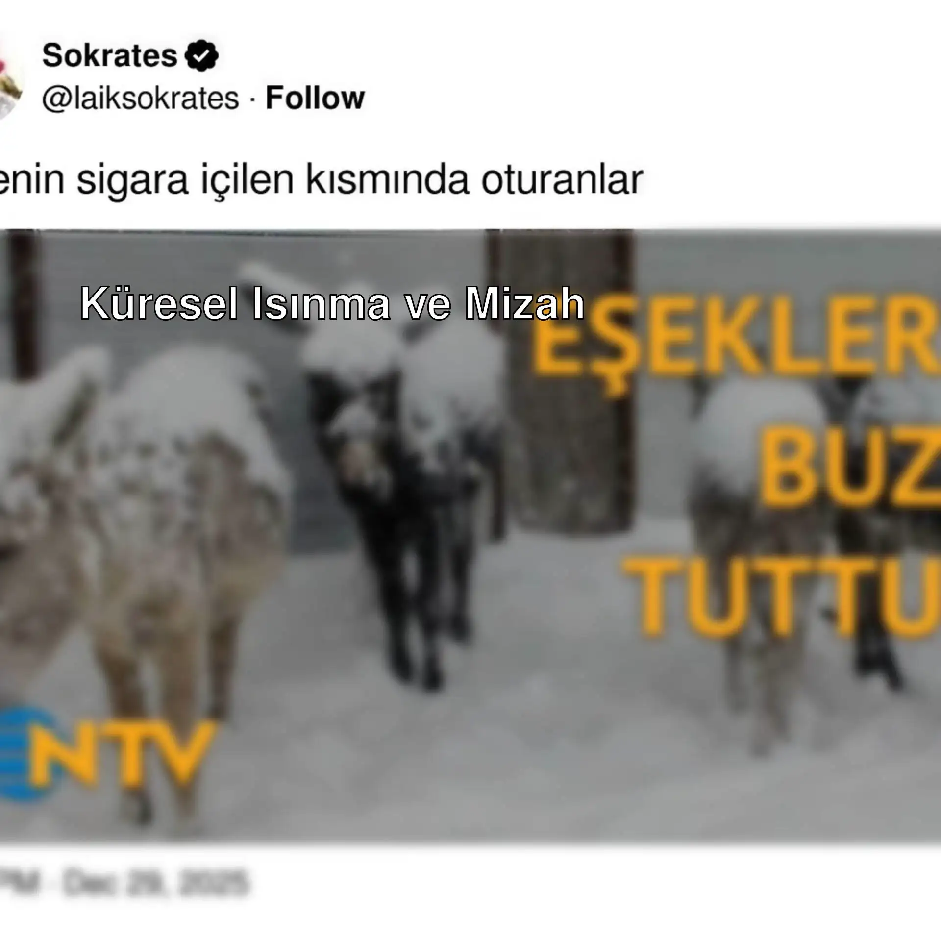 Karla kaplı bir alanda bir grup hayvan. Karla kaplı bir alanda bir grup hayvan.