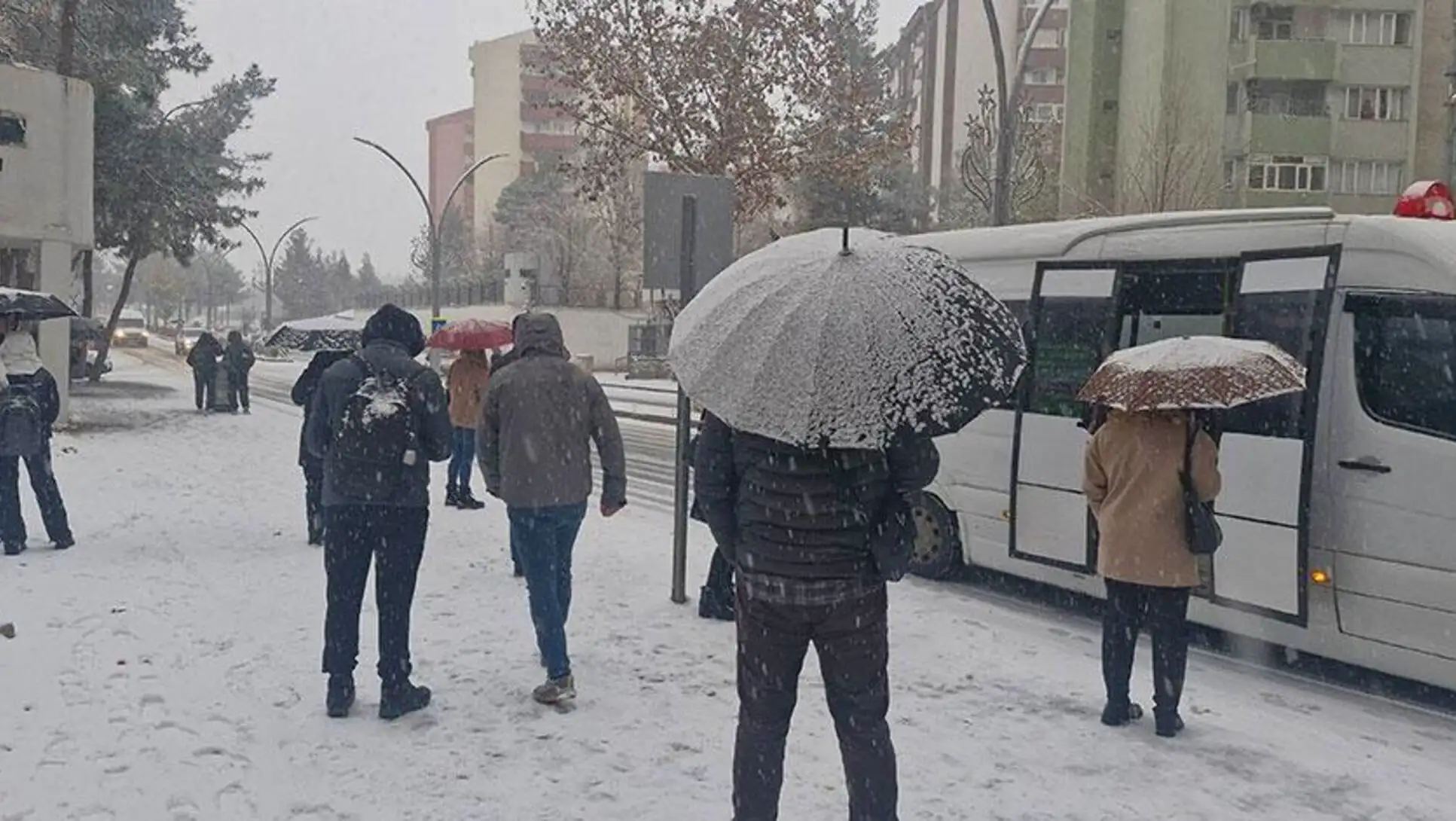 A group of people walking in the snow. A group of people walking in the snow.