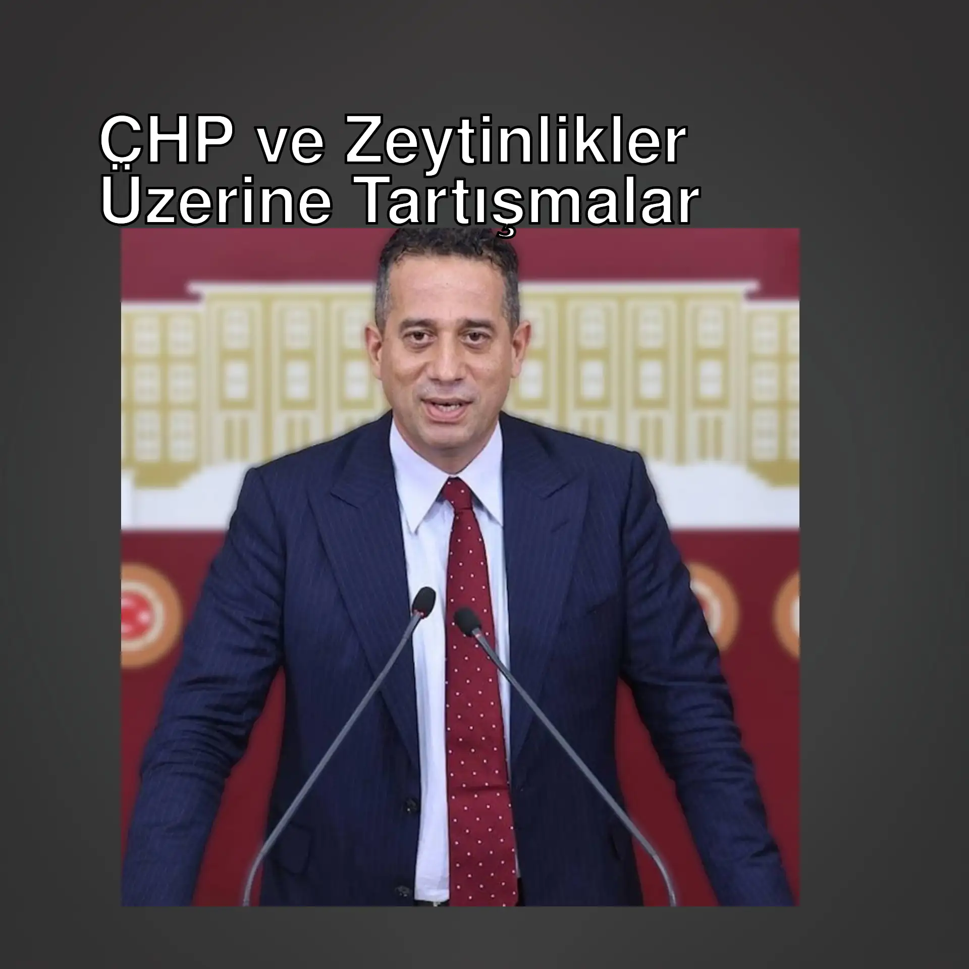 CHP'li Başarır, zeytinlikler konusundaki basın toplantısında.