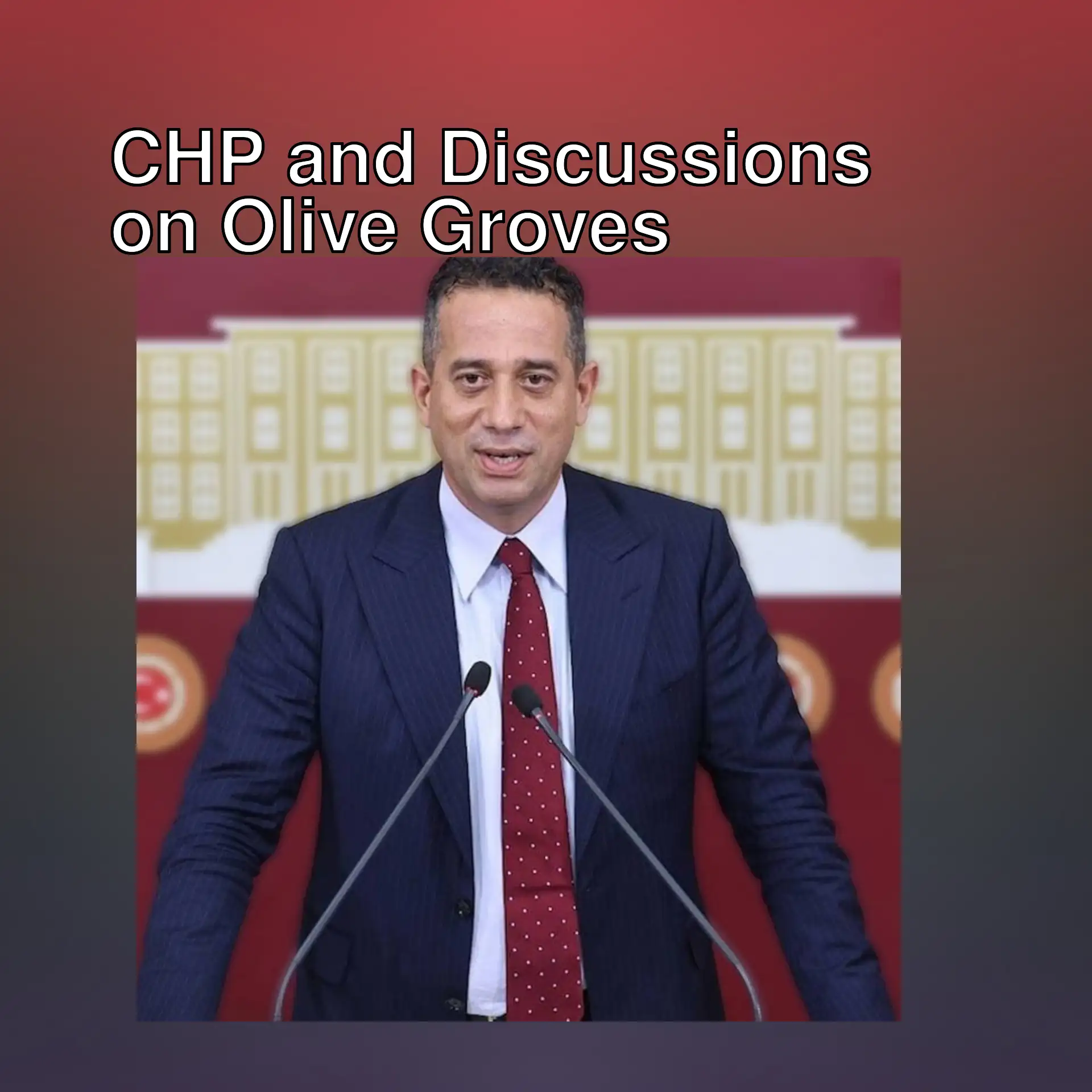 CHP's Başarır at the press conference about olive groves.